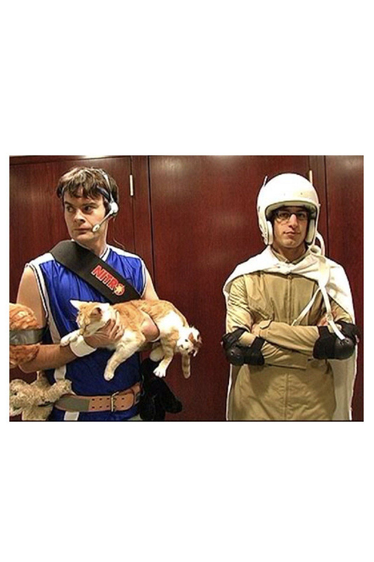 Pôster de Laser Cats!