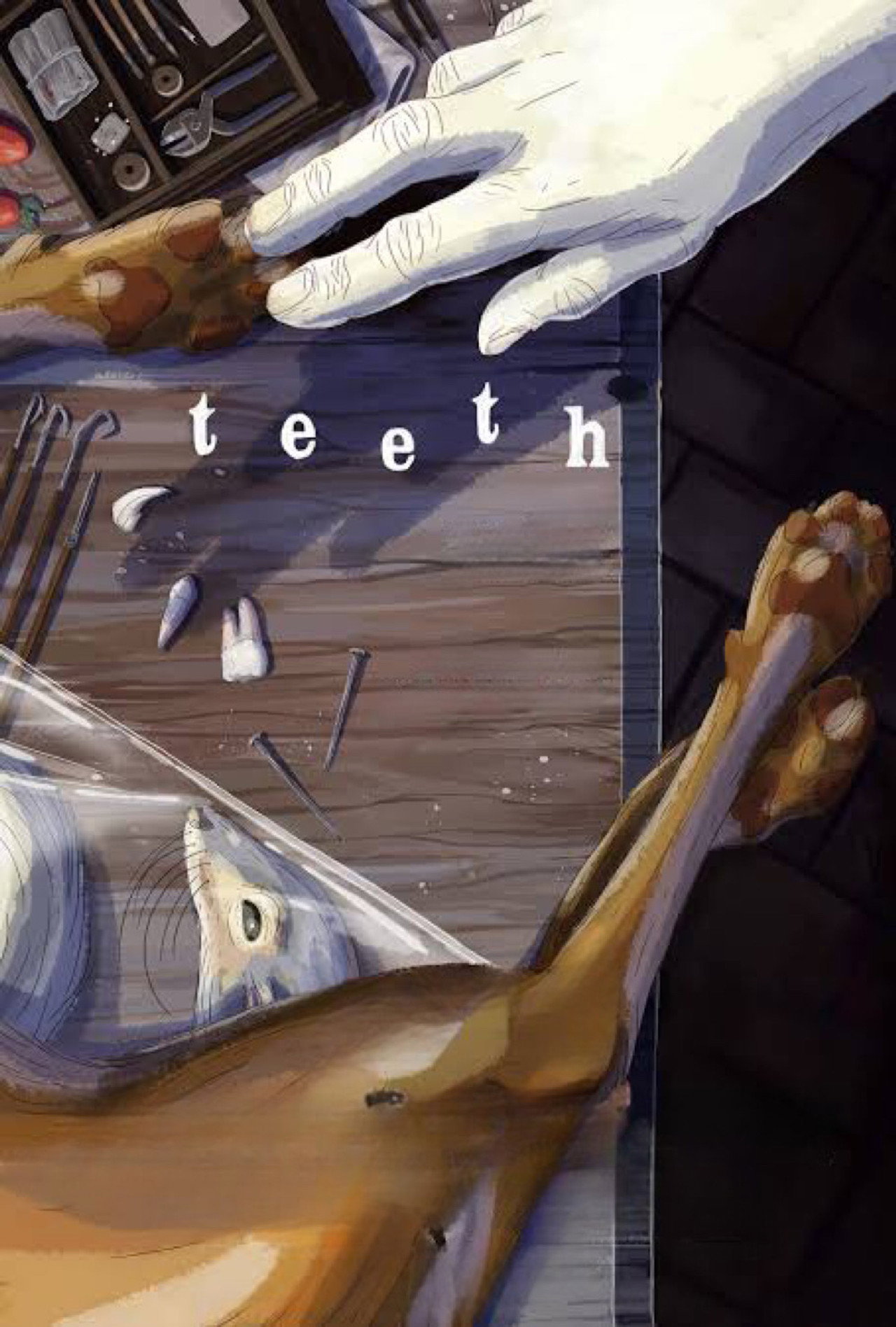 Pôster de Teeth