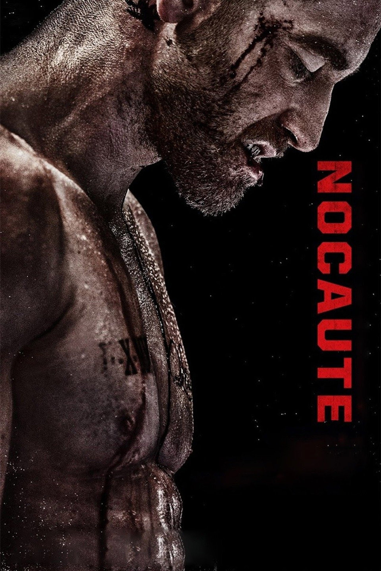 Pôster de Nocaute