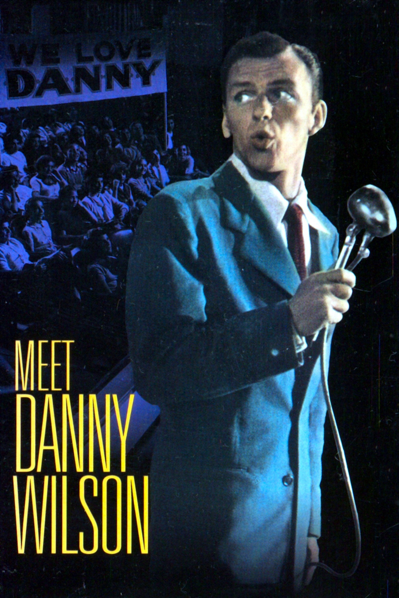 Pôster de Meet Danny Wilson