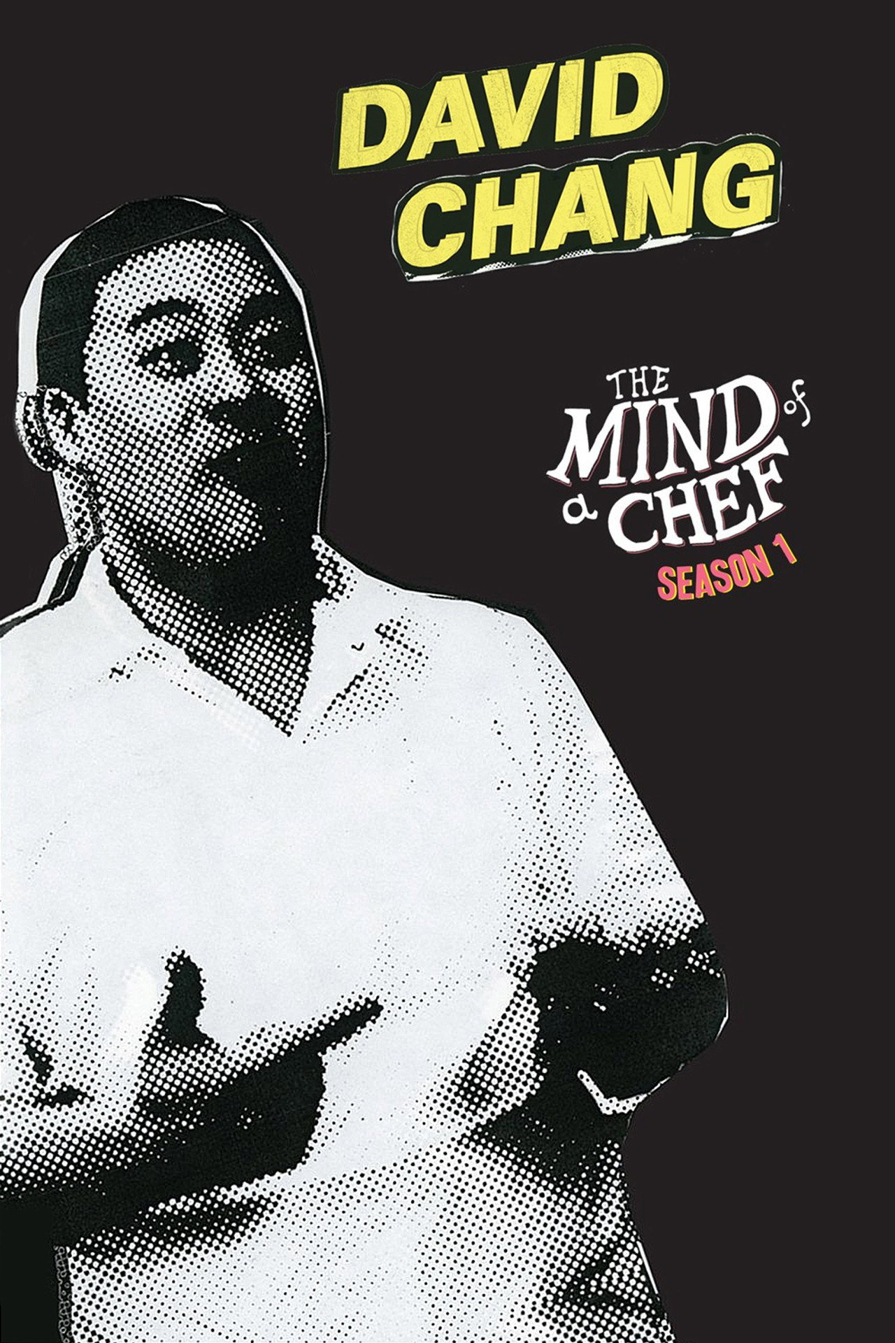 Pôster de The Mind of a Chef