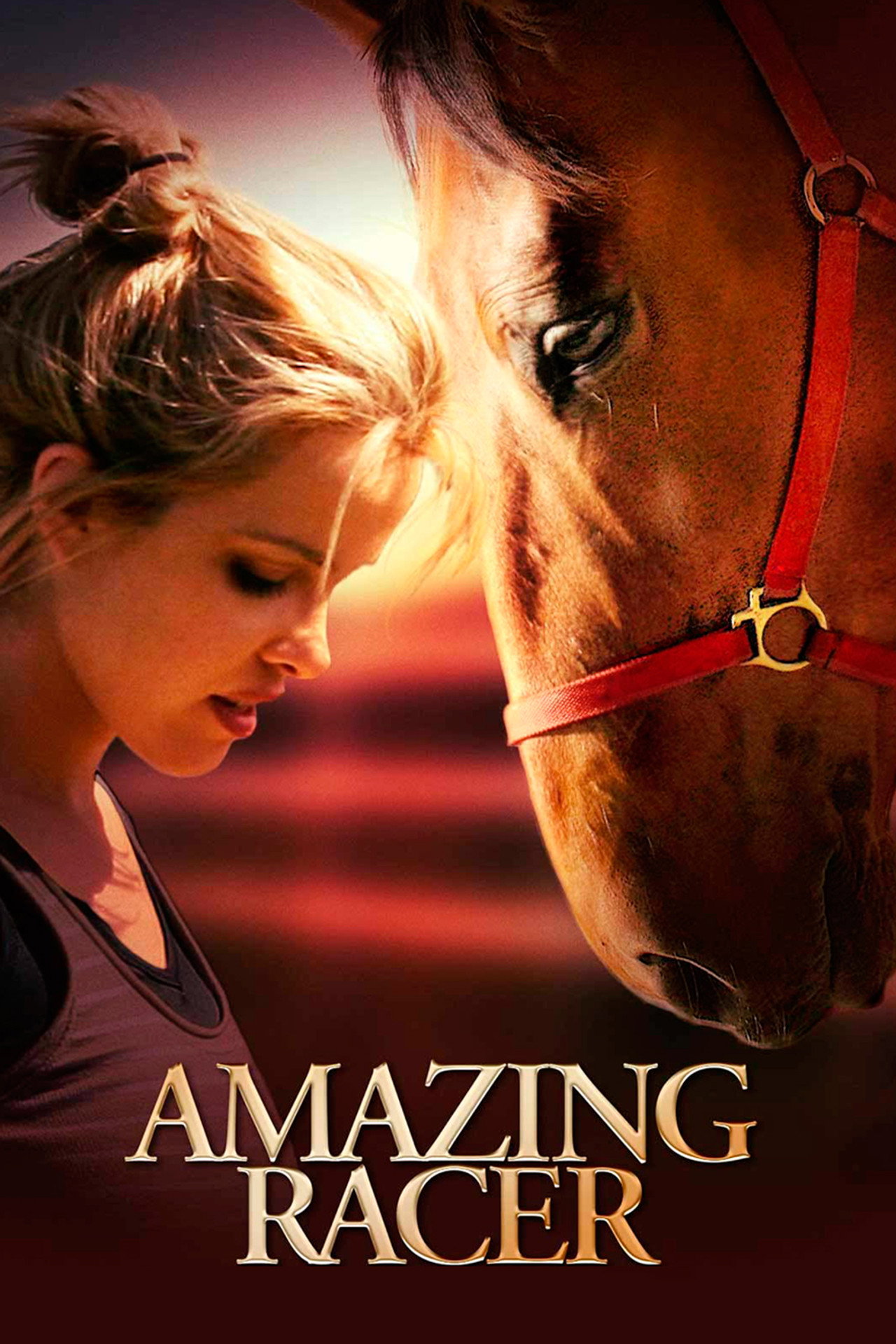 Pôster de Amazing Racer