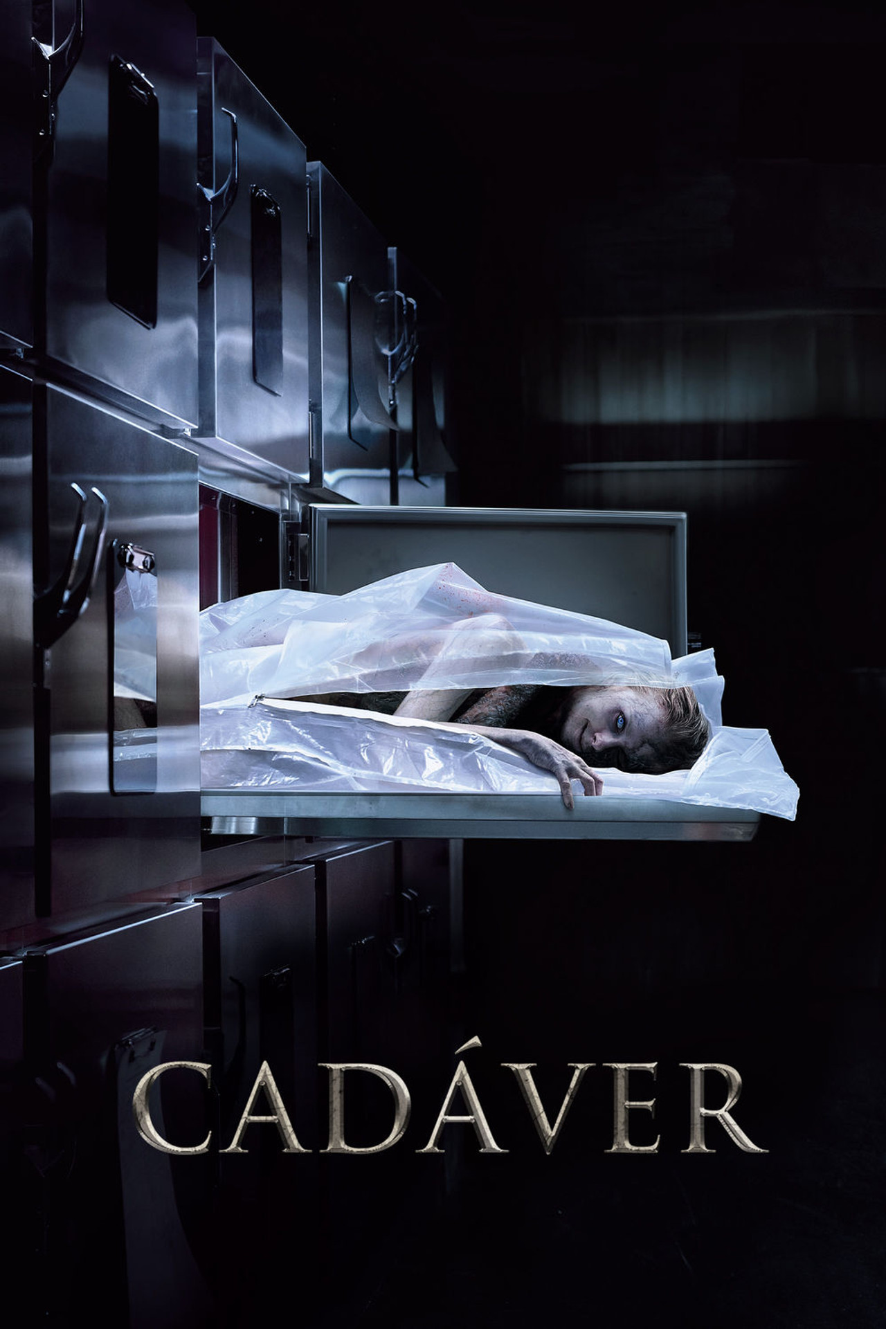 Pôster de Cadáver