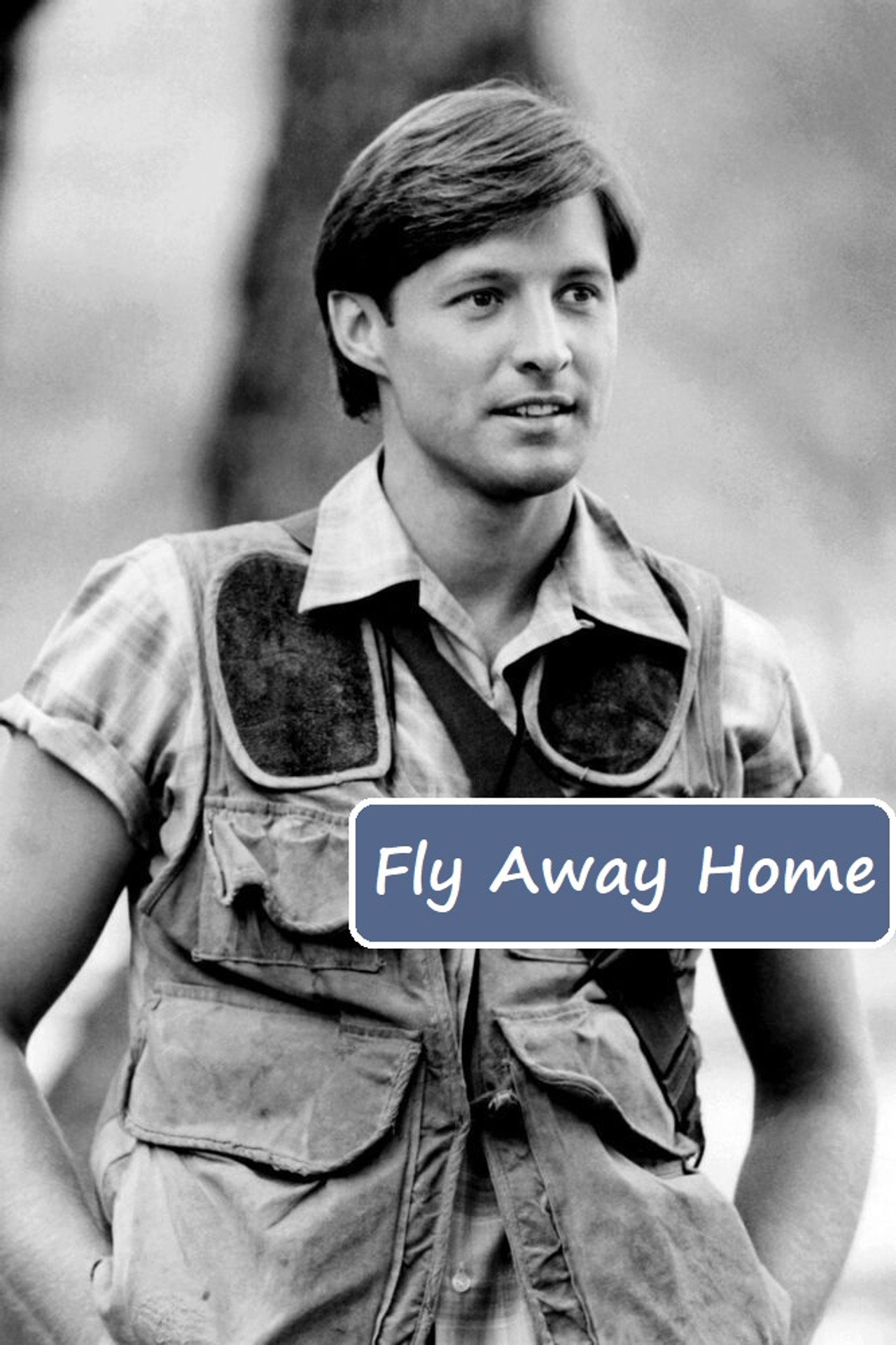 Pôster de Fly Away Home