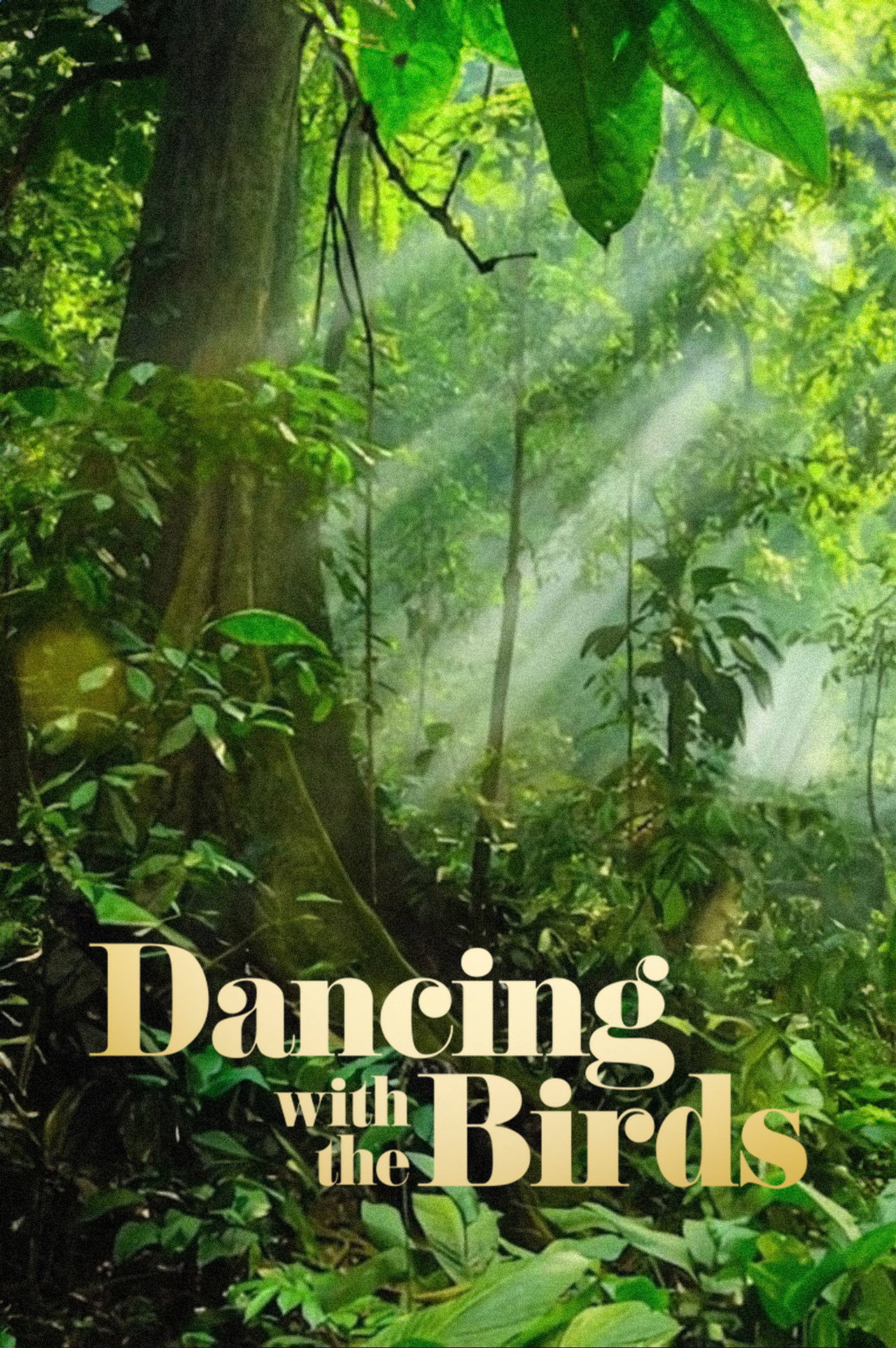 Pôster de Dança dos Pássaros