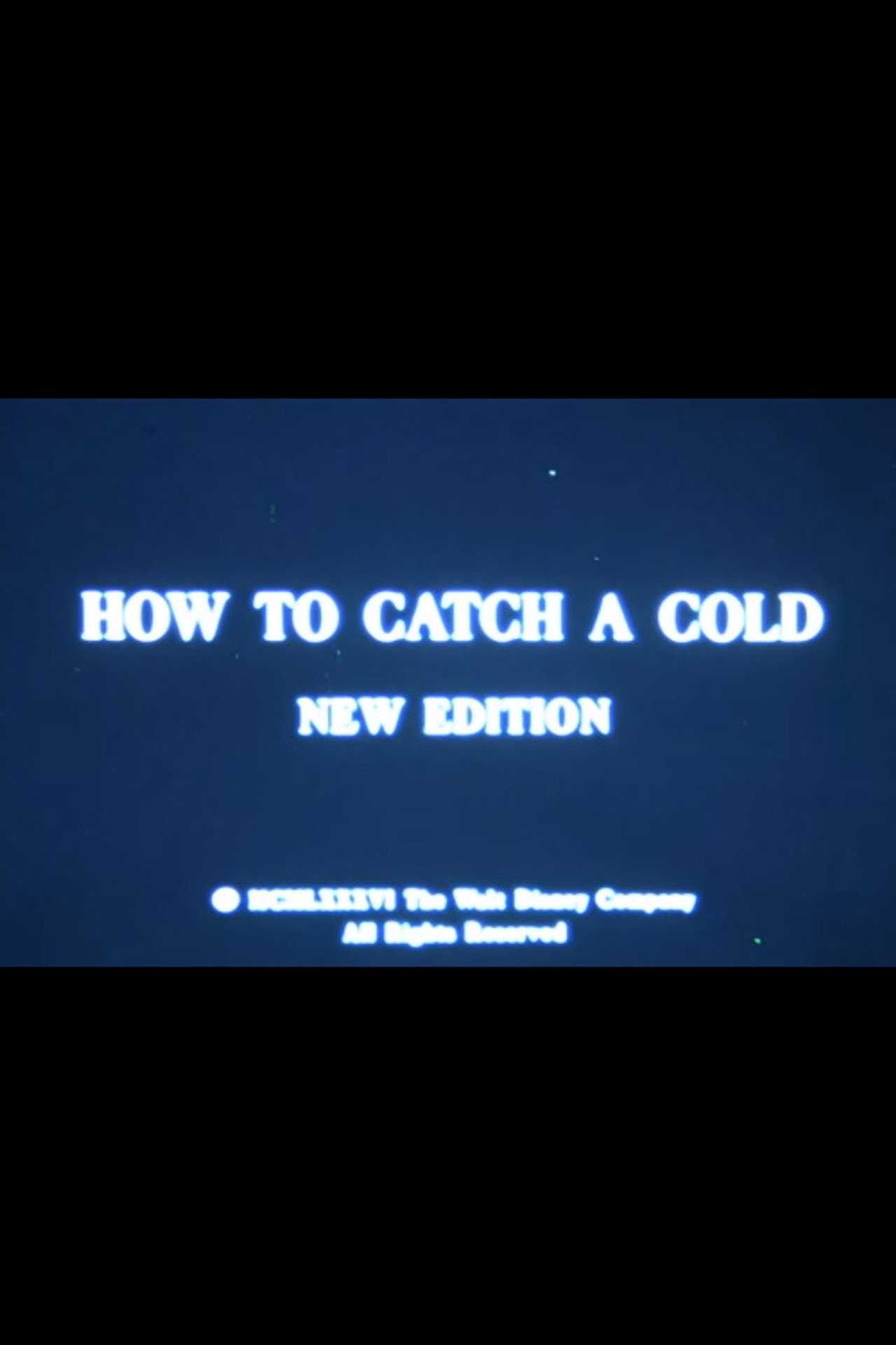 Pôster de How to Catch a Cold