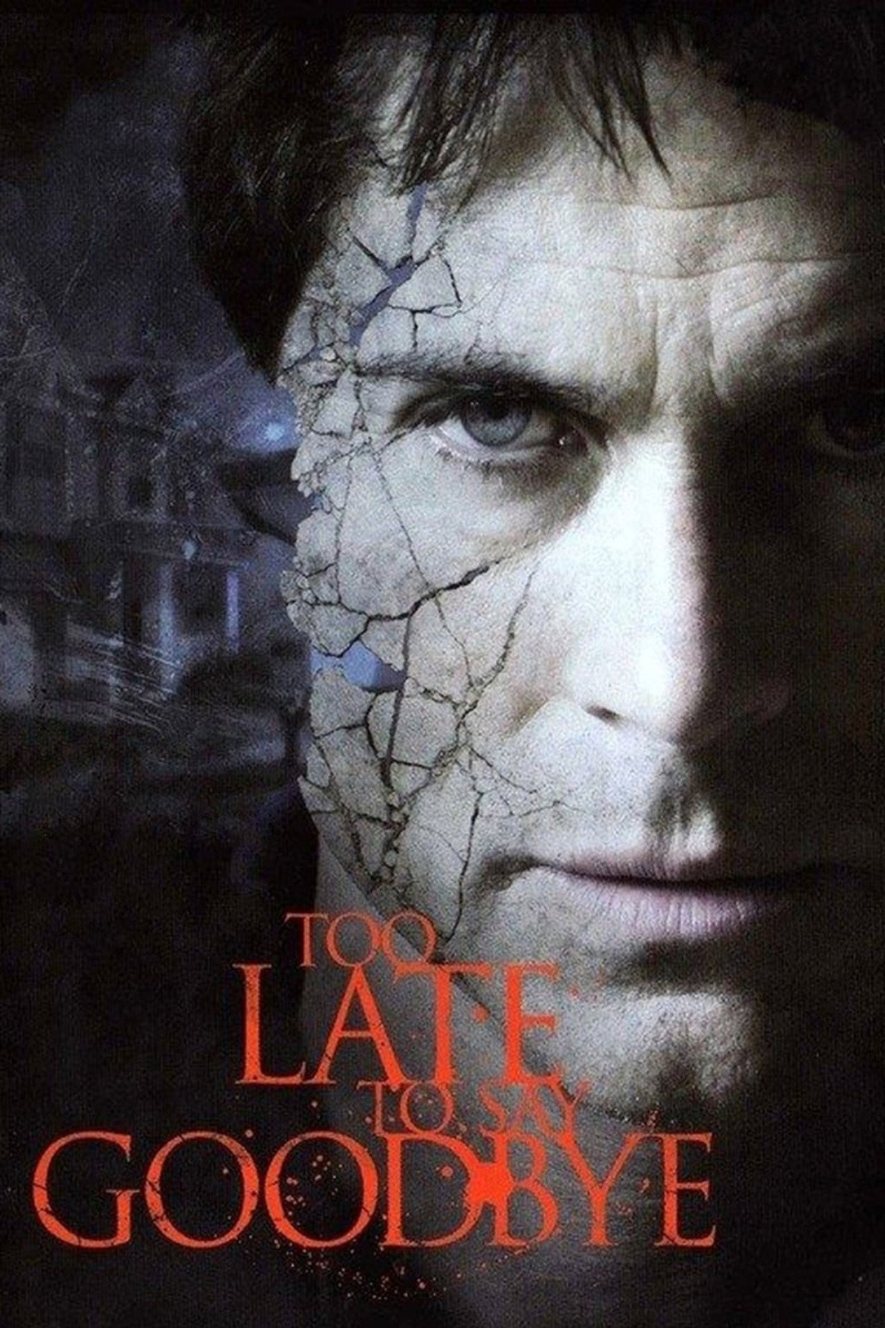 Pôster de Too Late to Say Goodbye