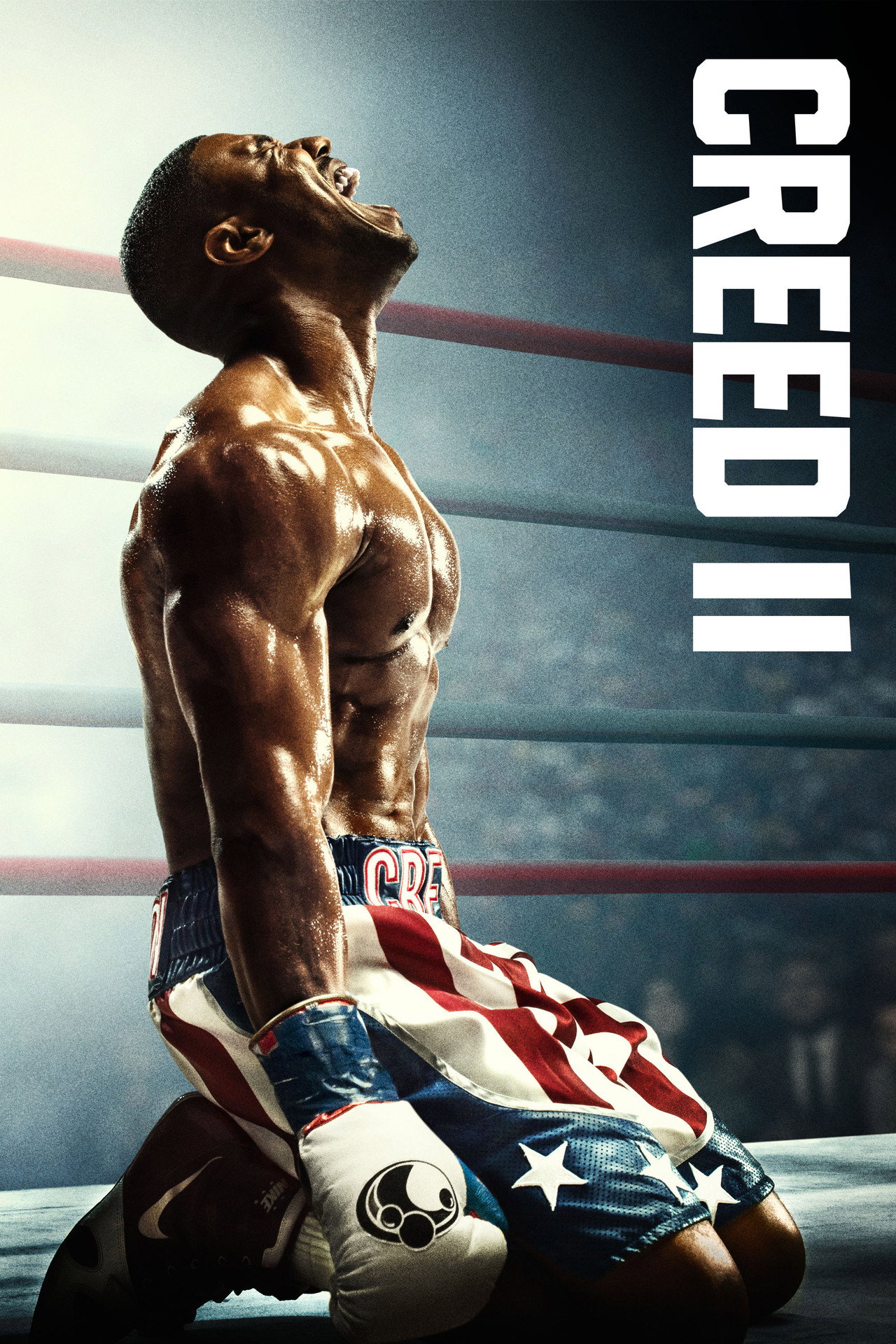 Pôster de Creed II