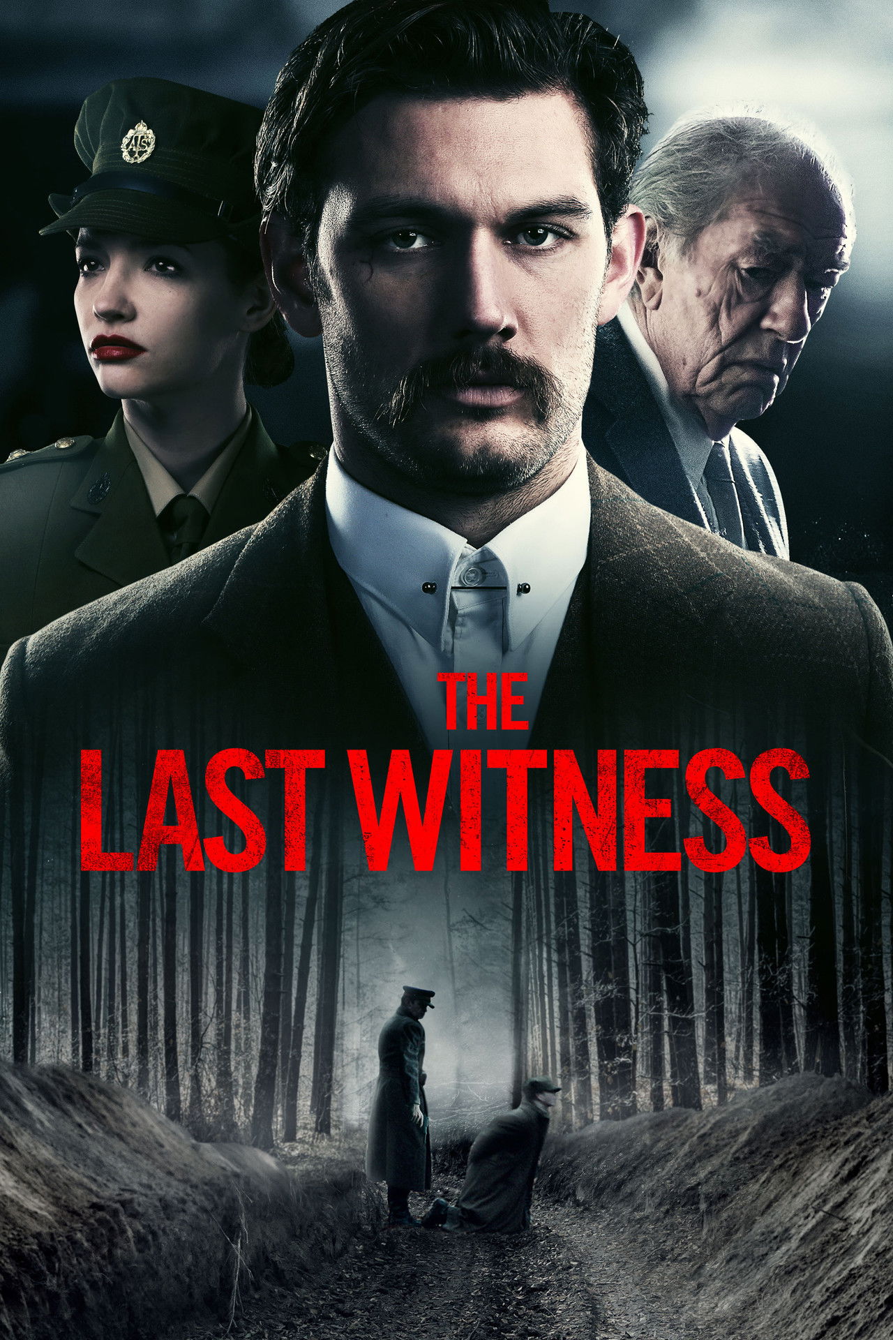 Pôster de The Last Witness