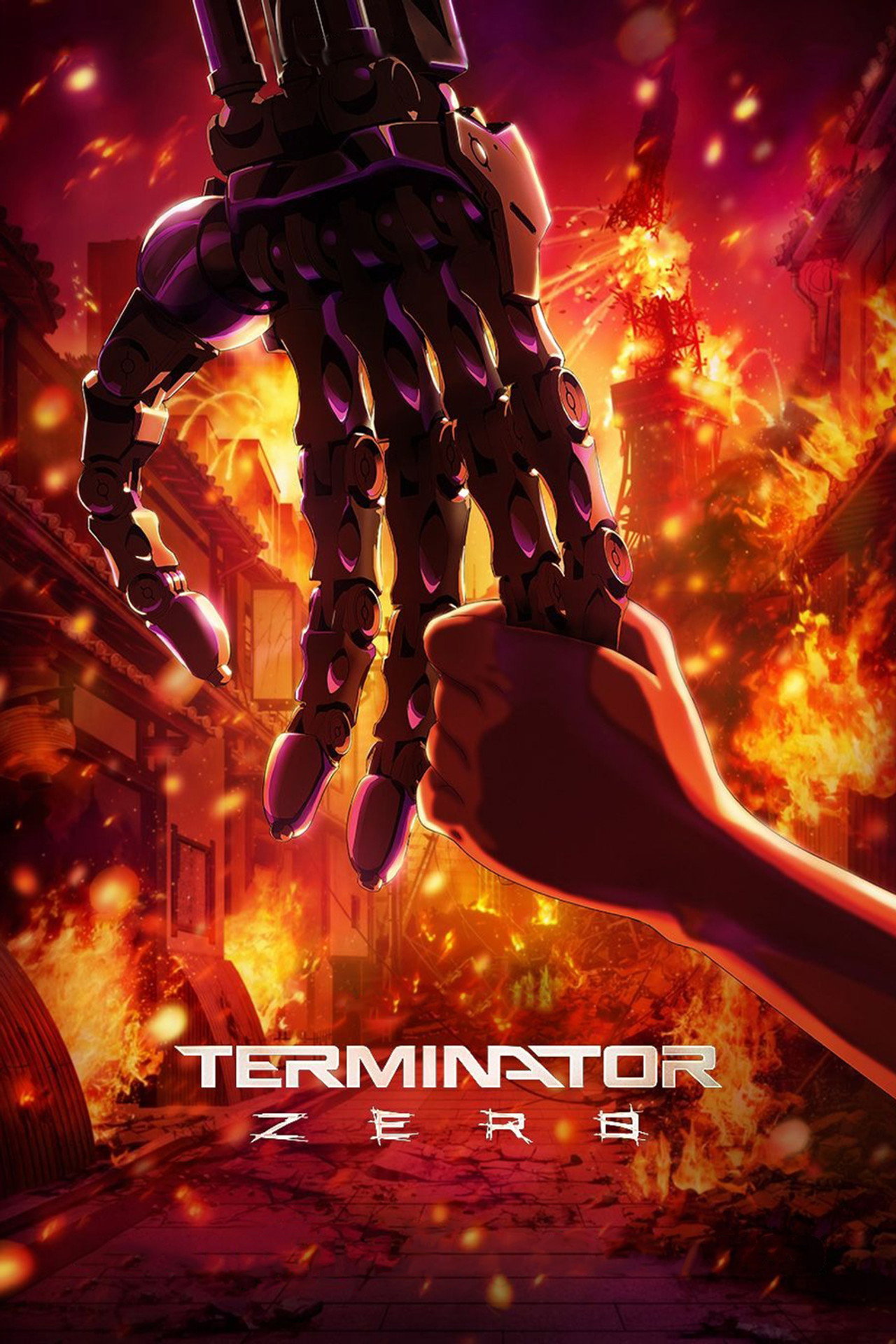 Pôster de Terminator Zero
