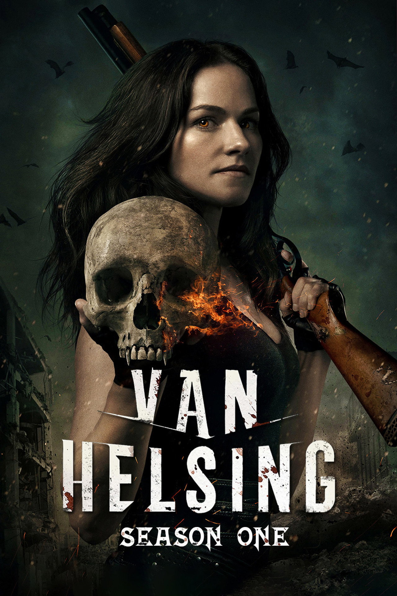Pôster de Van Helsing