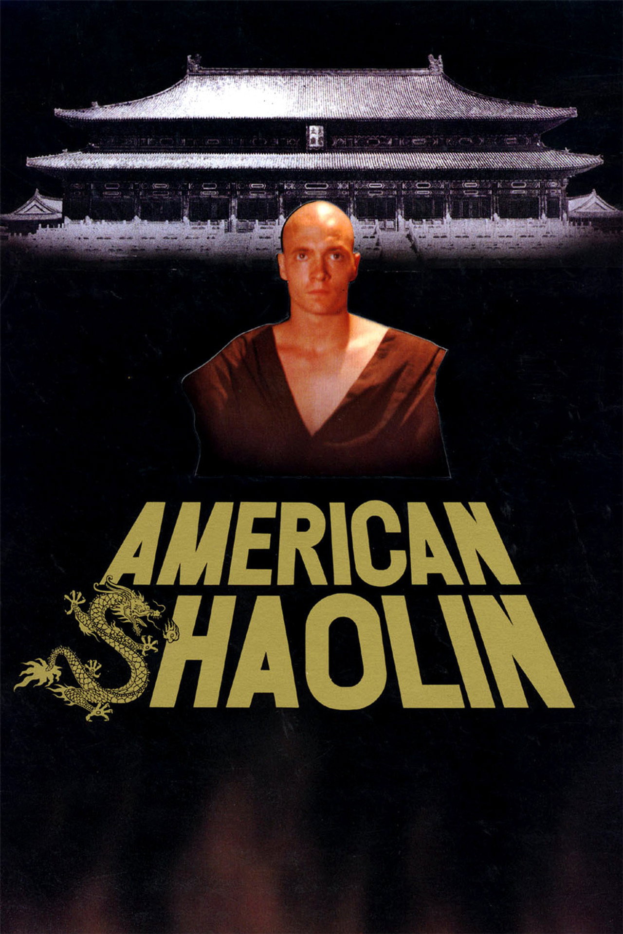 Pôster de American Shaolin
