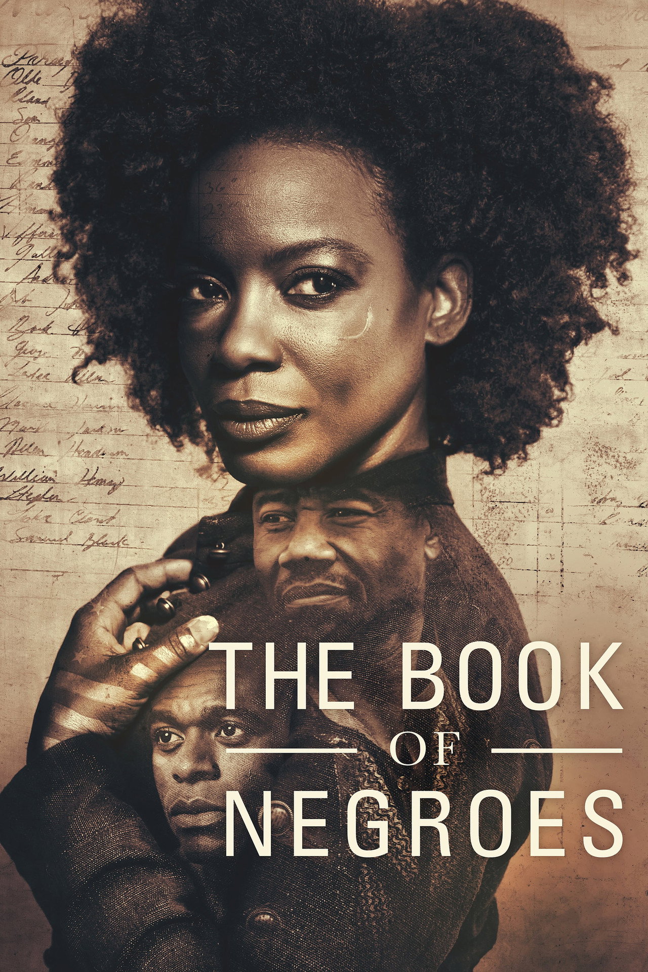 Pôster de The Book of Negroes