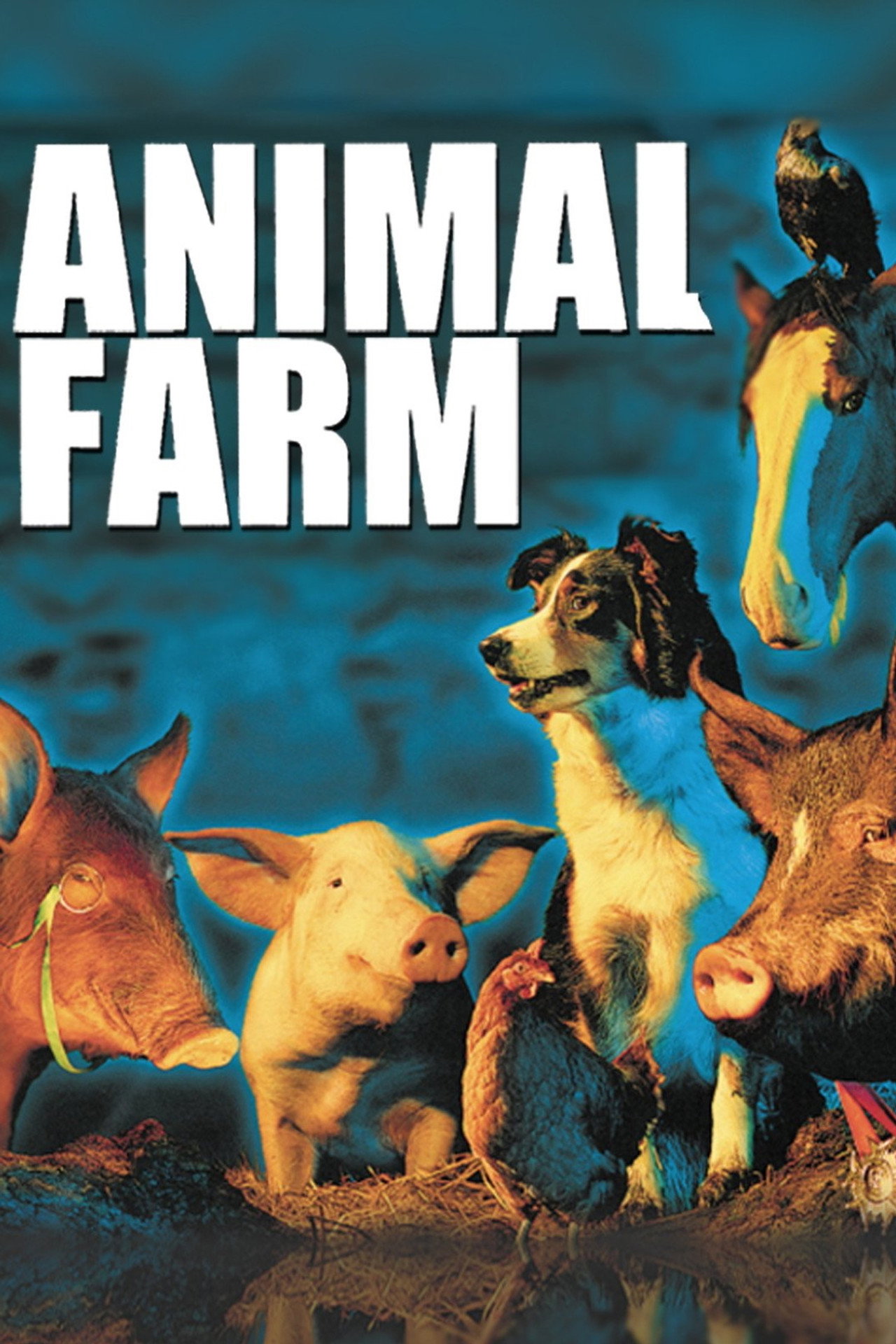 Pôster de Animal Farm