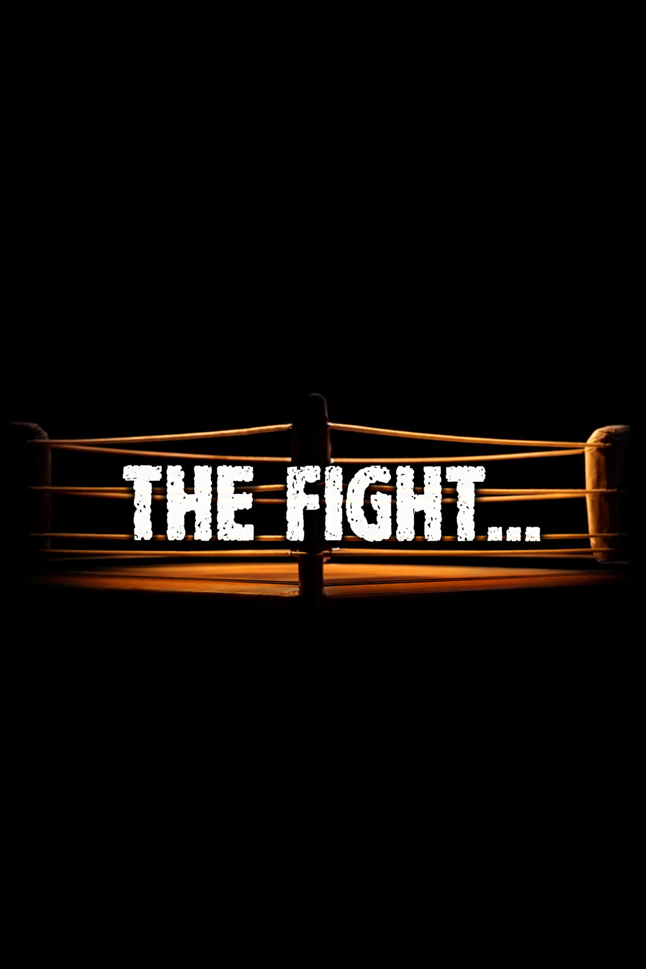 Pôster de The Fight