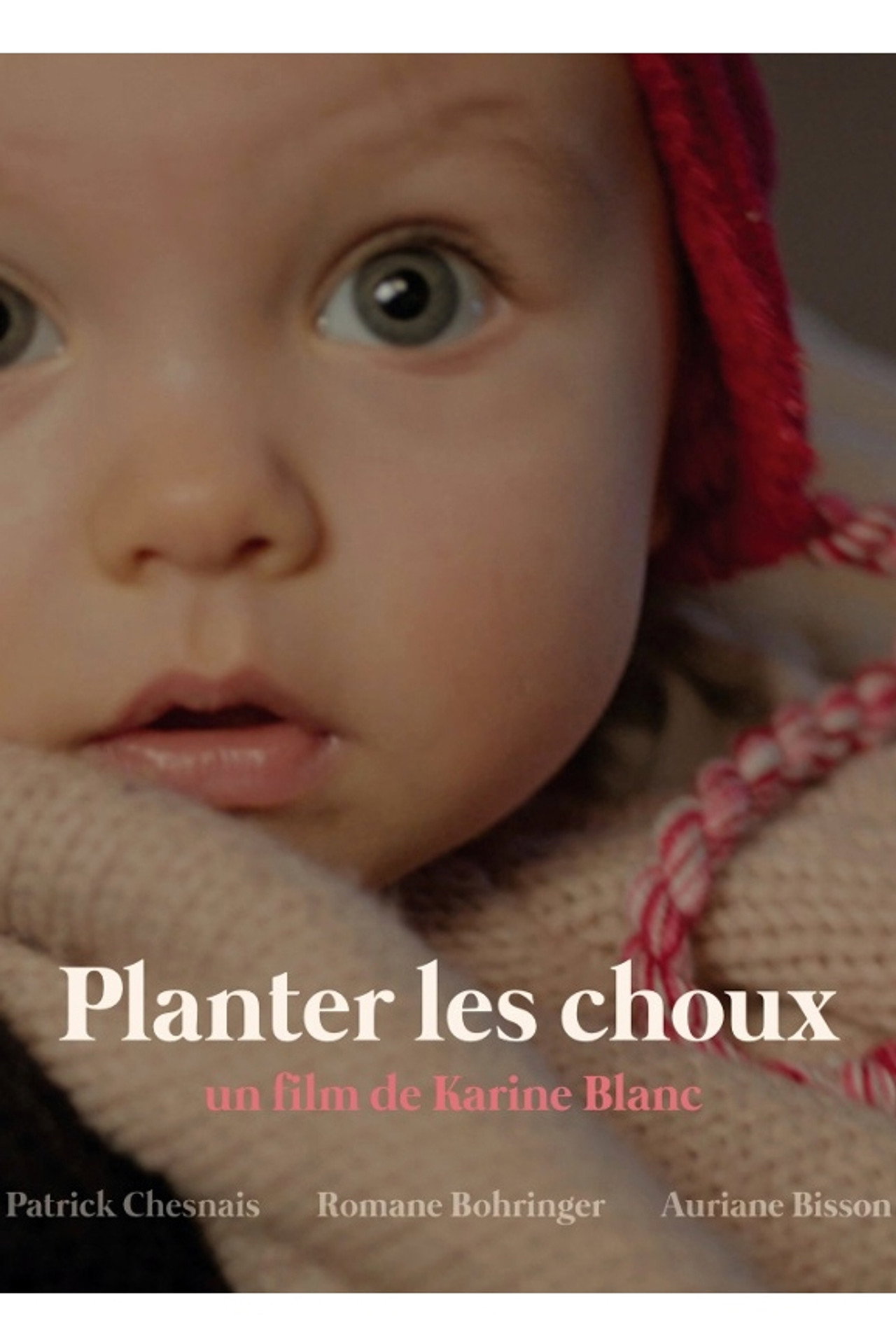 Pôster de Planter les Choux