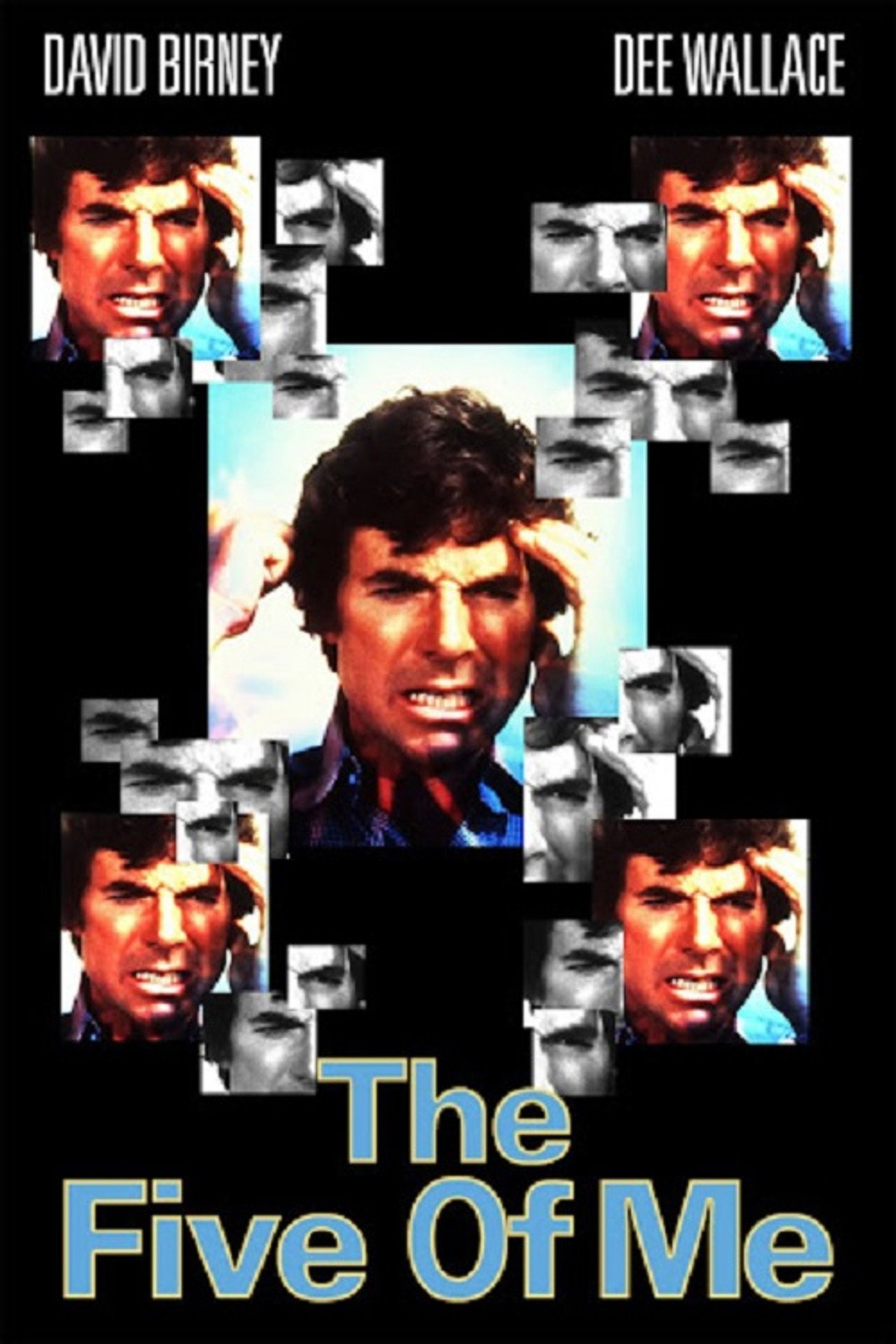 Pôster de The Five of Me