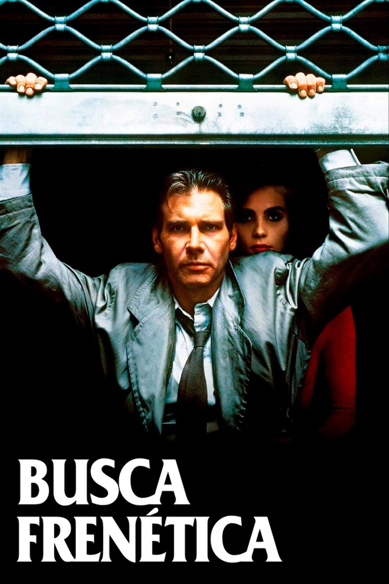Pôster de Busca Frenética
