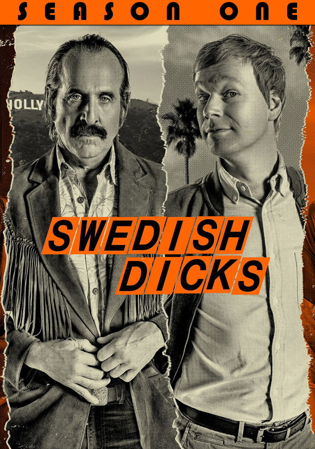 Pôster de Swedish Dicks