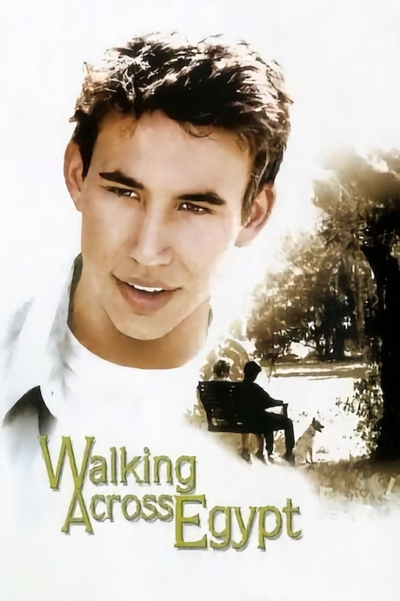 Pôster de Walking Across Egypt