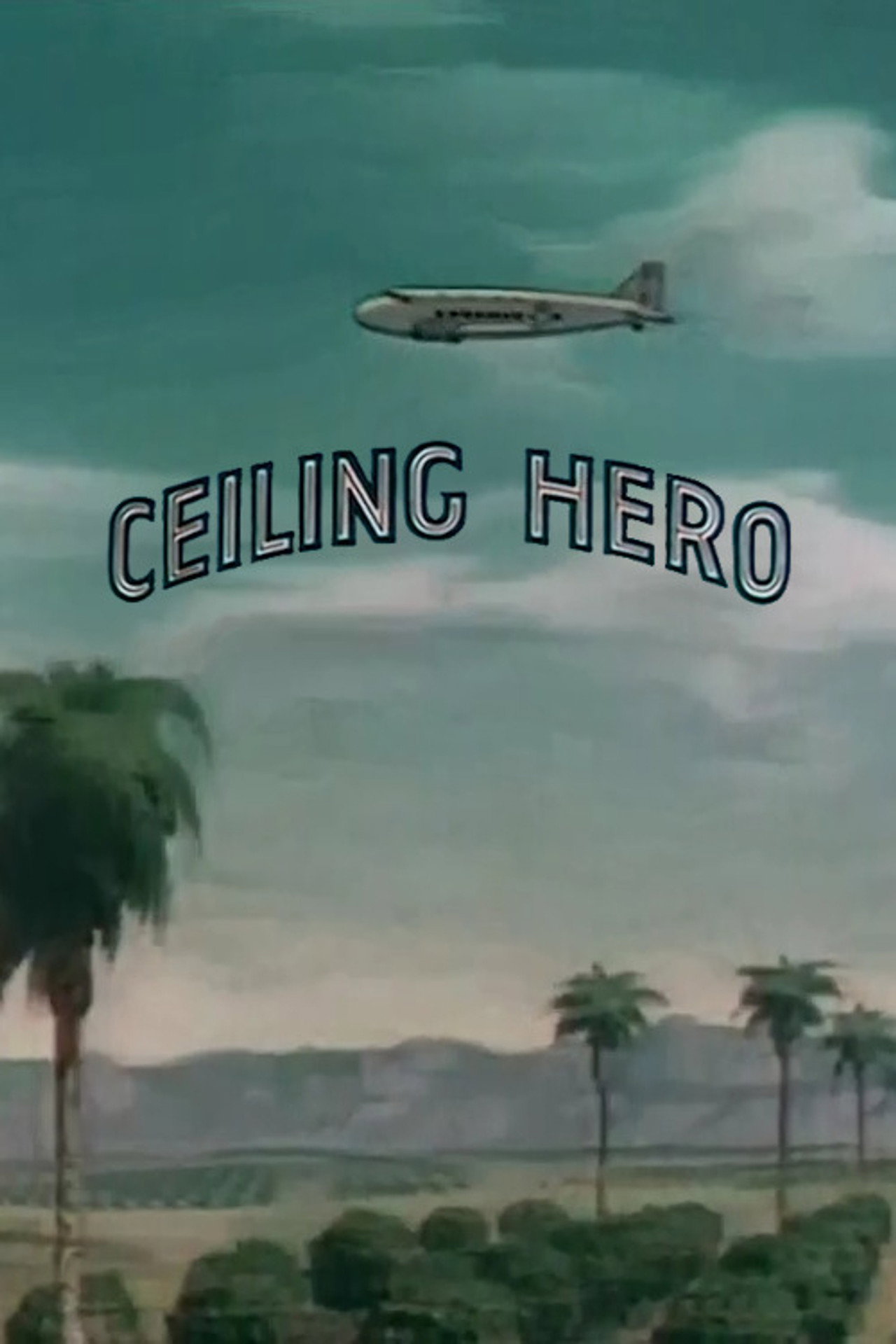 Pôster de Ceiling Hero