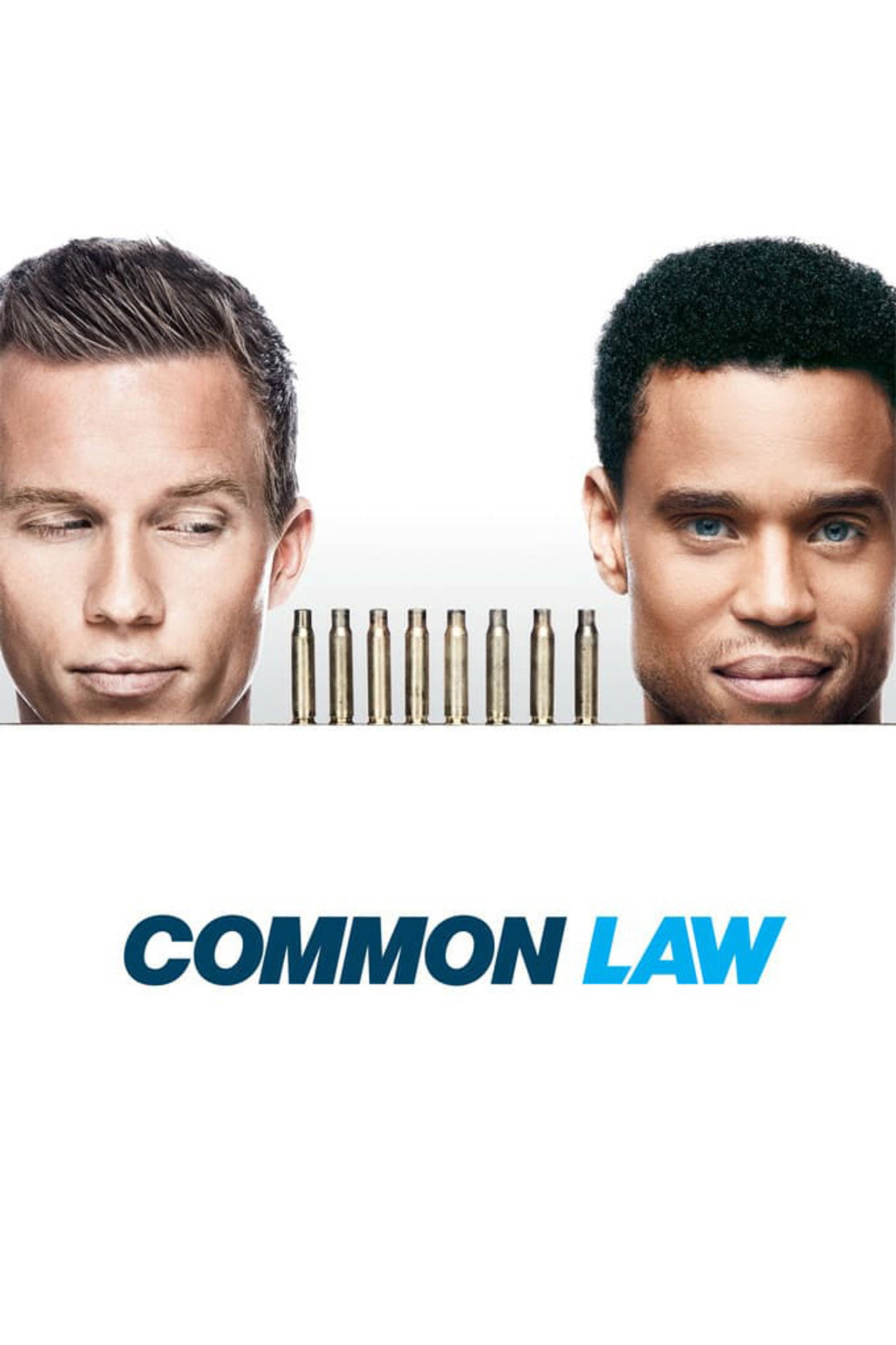 Pôster de Common Law