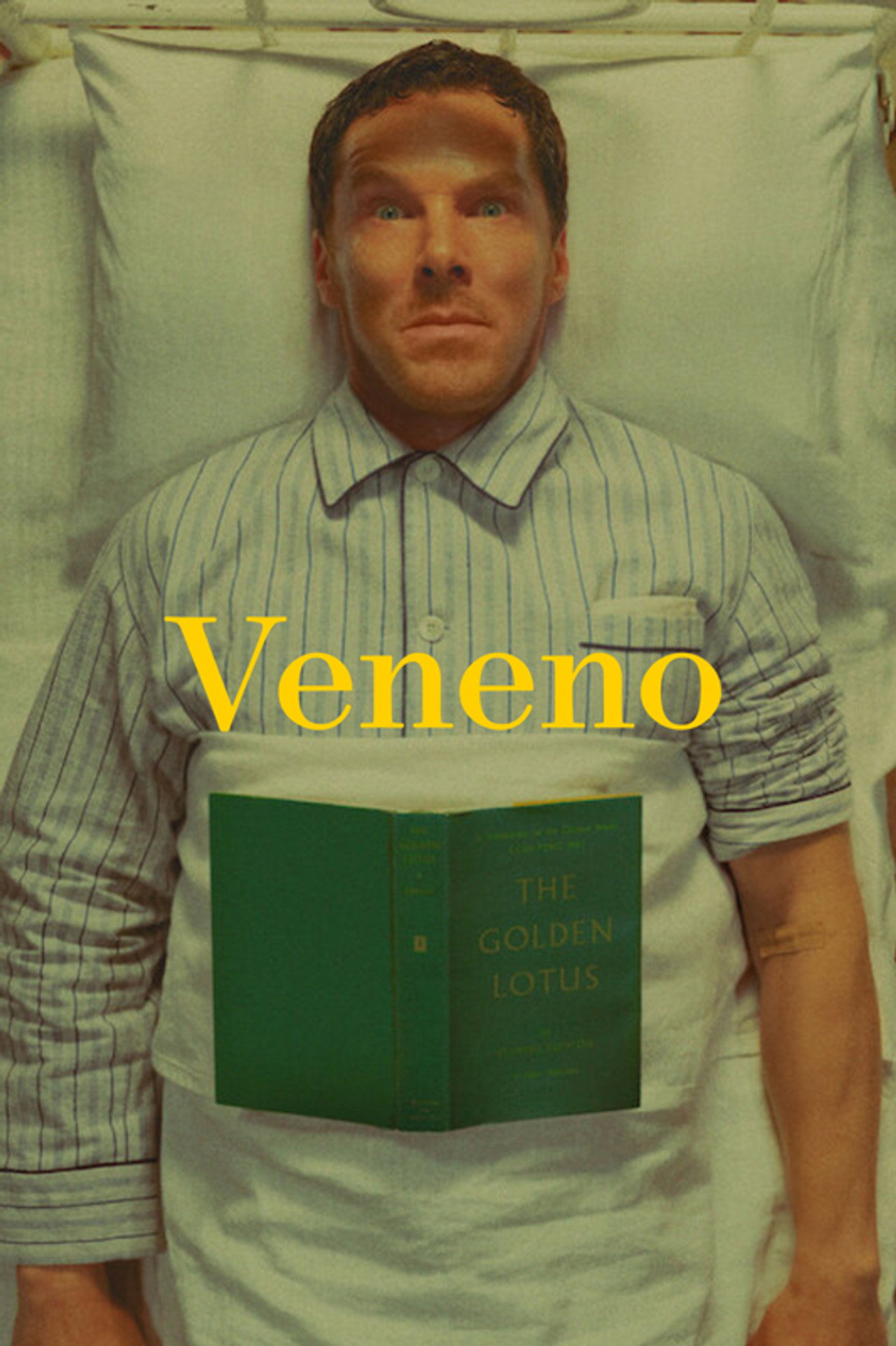 Pôster de Veneno