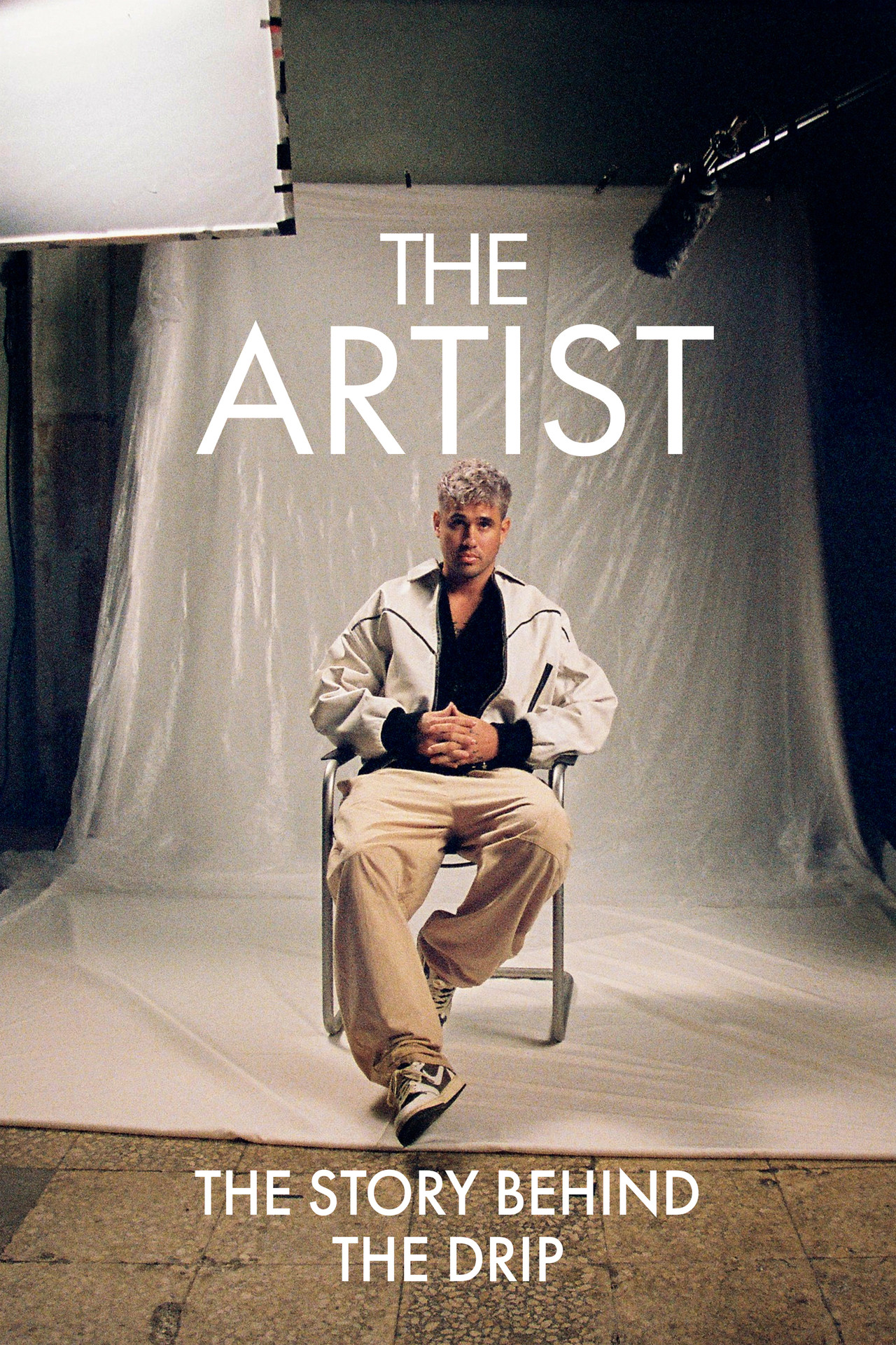 Pôster de The Artist