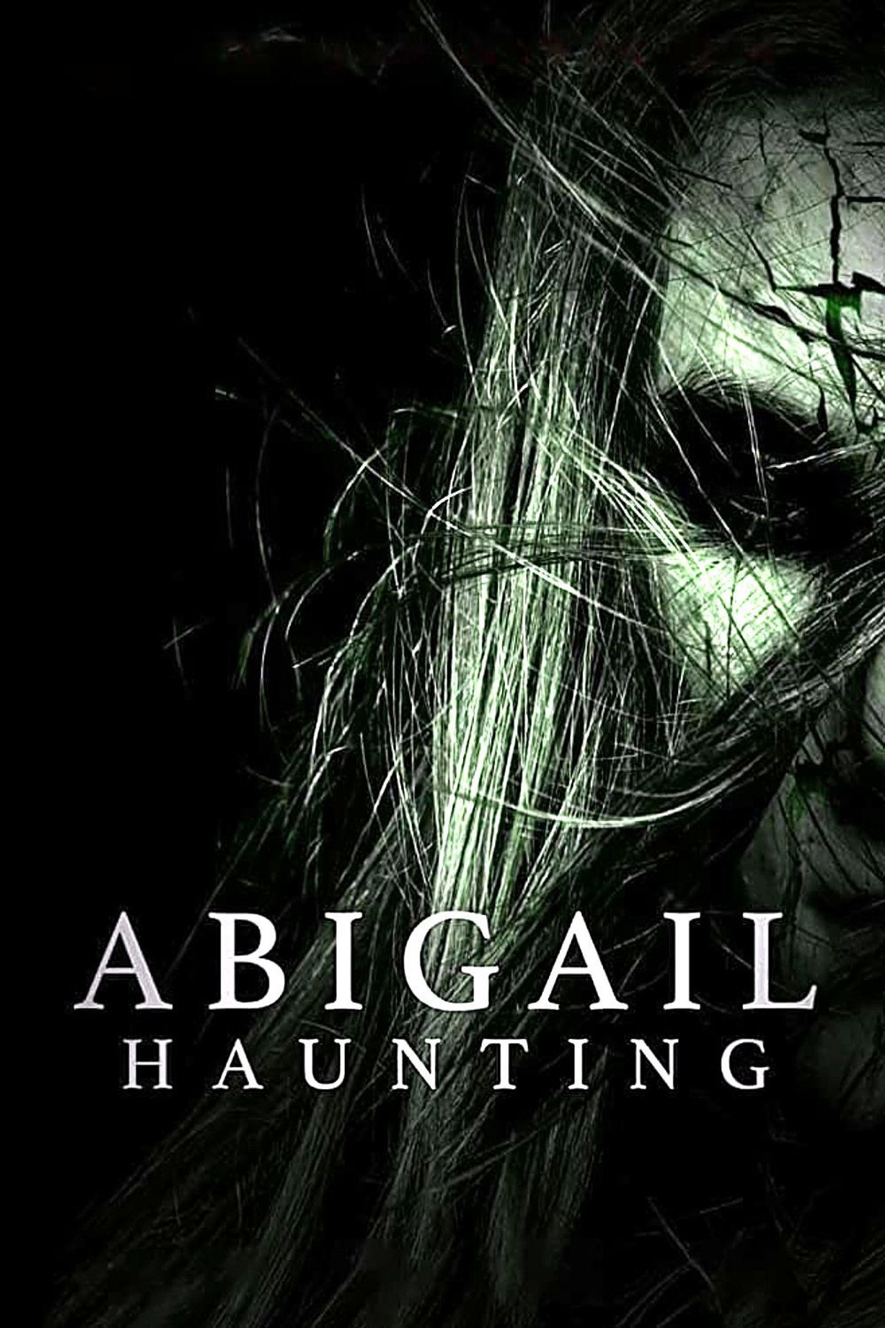 Pôster de Abigail Haunting