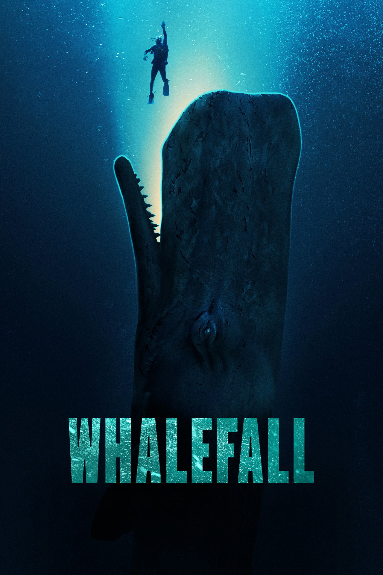 Pôster de Whalefall
