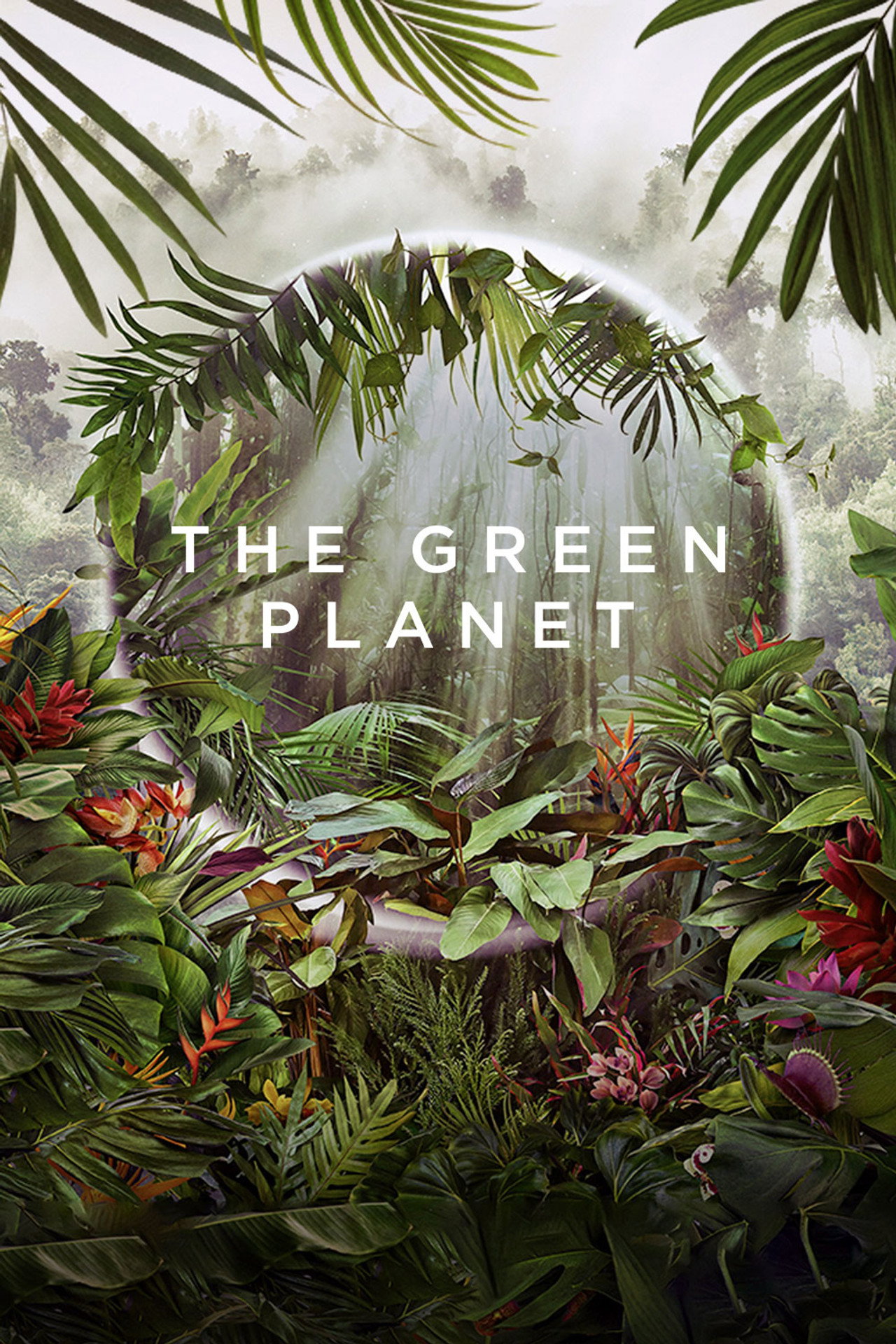 Pôster de The Green Planet
