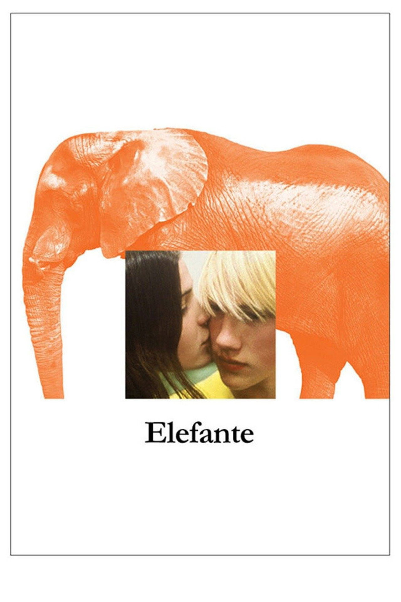 Pôster de Elefante