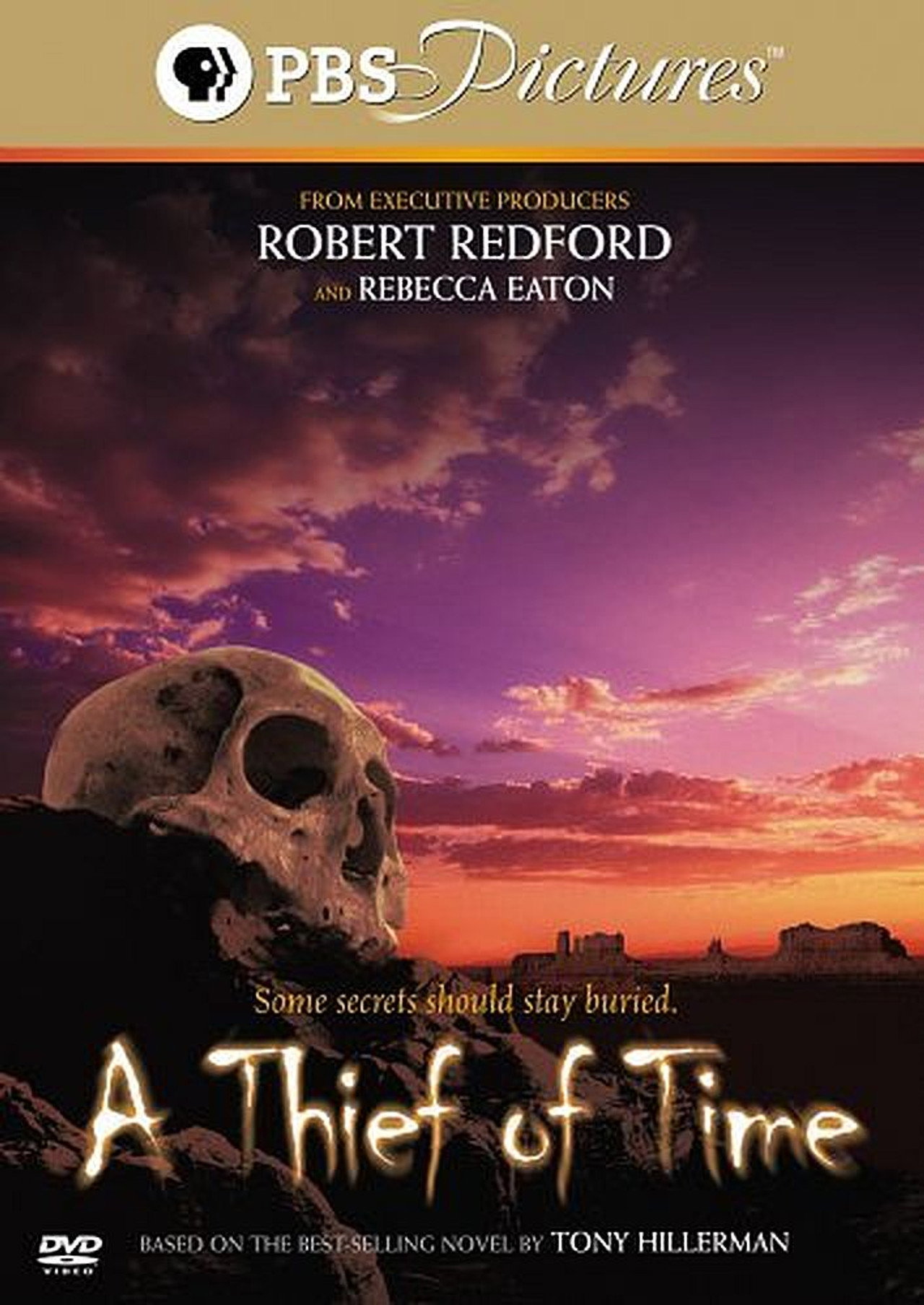 Pôster de A Thief Of Time