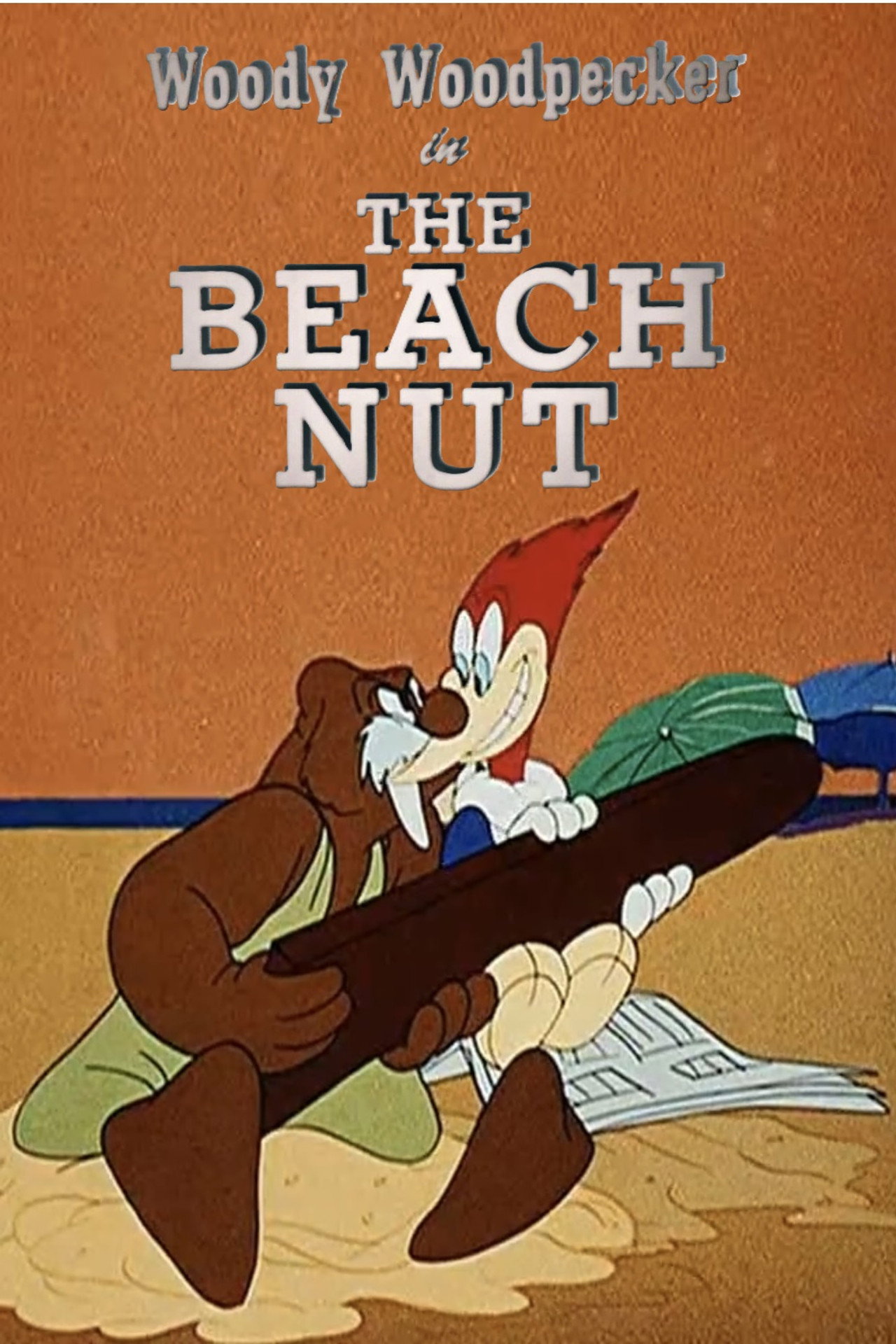 Pôster de O Doido da Praia
