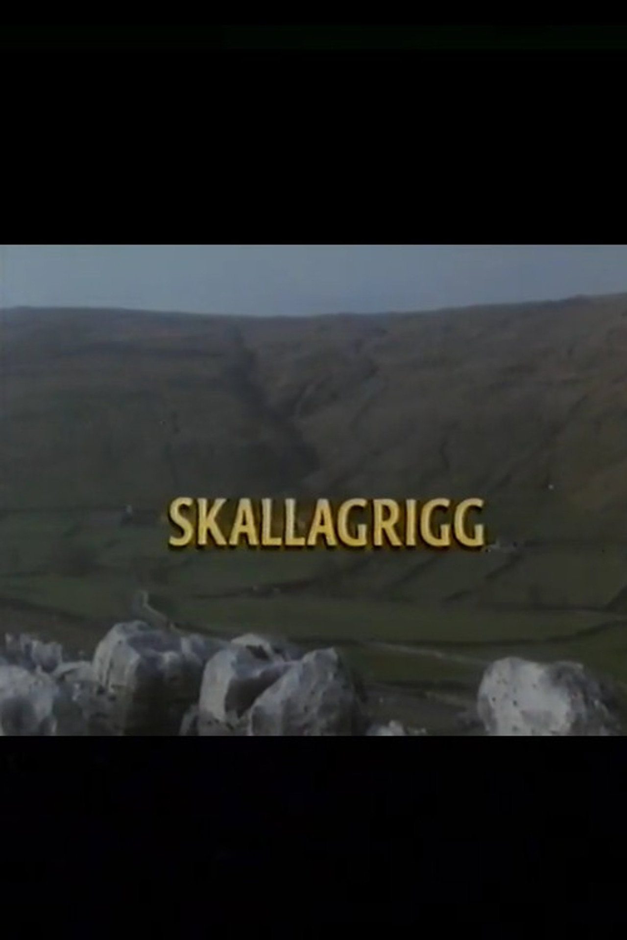 Pôster de Skallagrigg