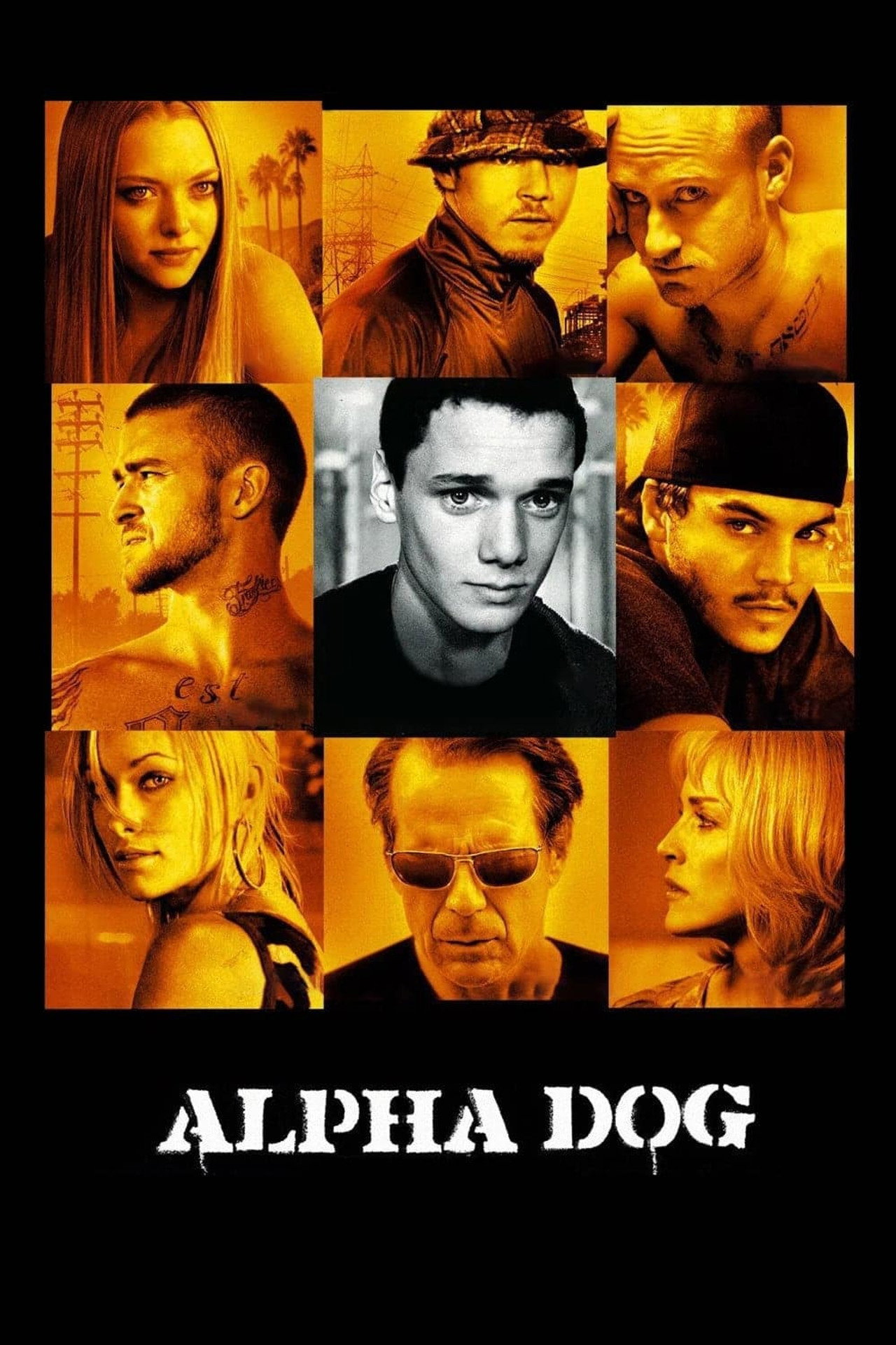 Pôster de Alpha Dog
