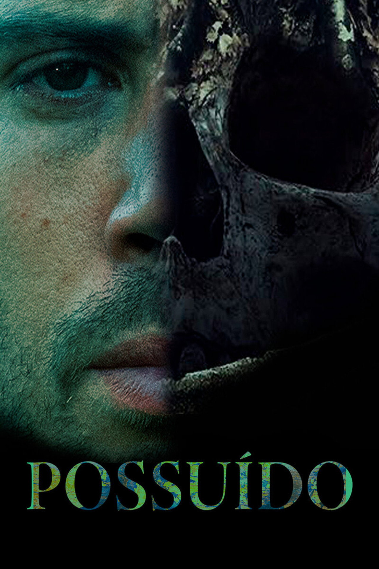 Pôster de Possuído