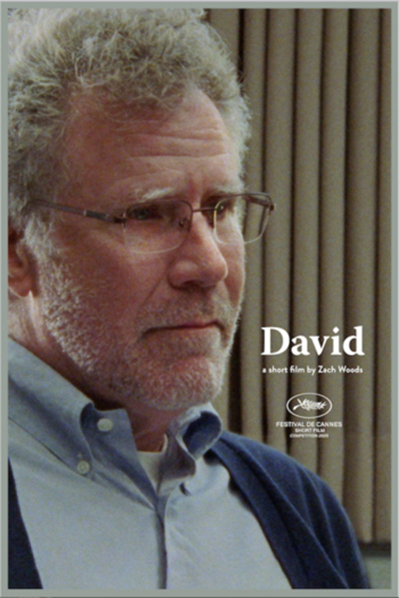 Pôster de David