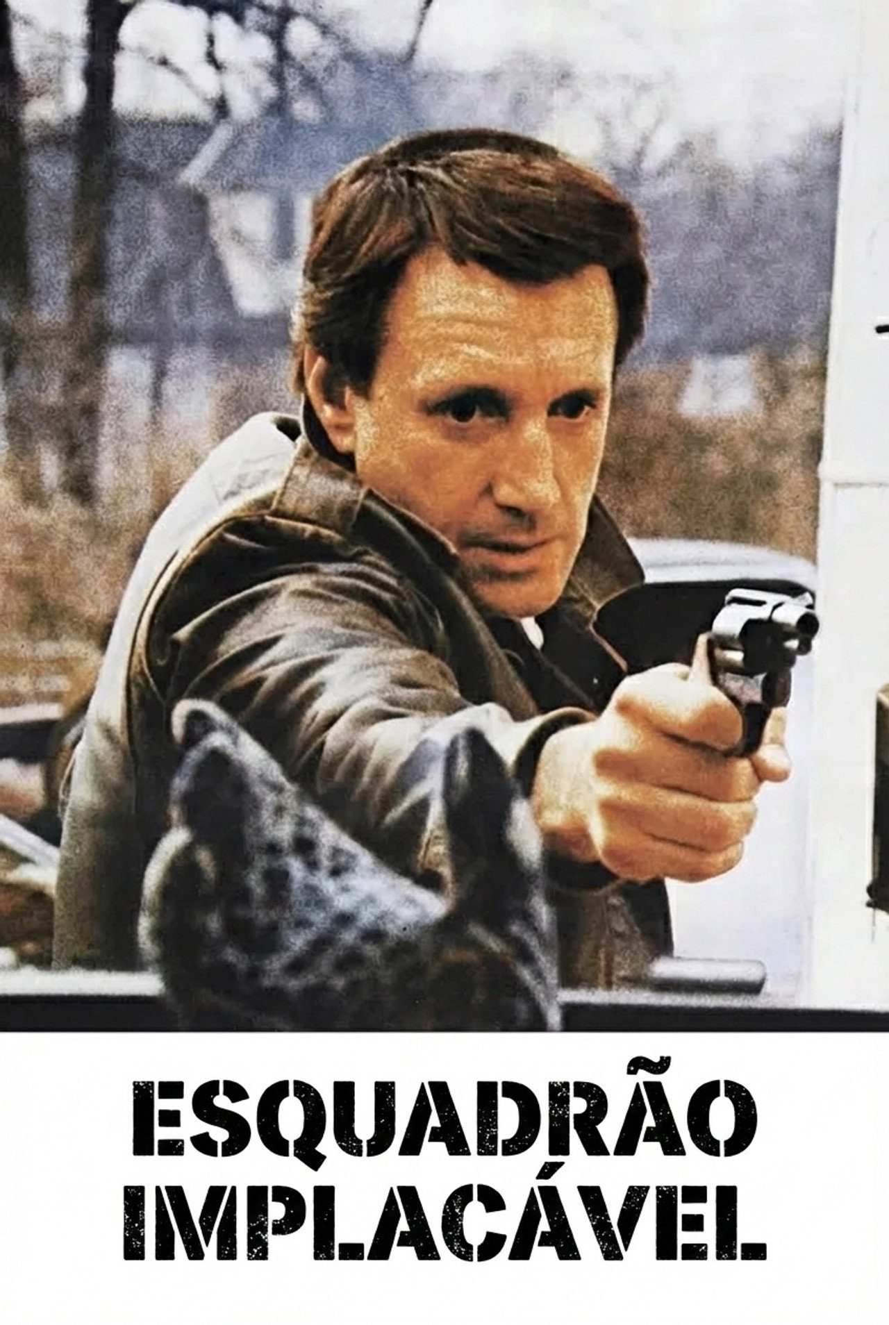 Pôster de Esquadrão Implacável