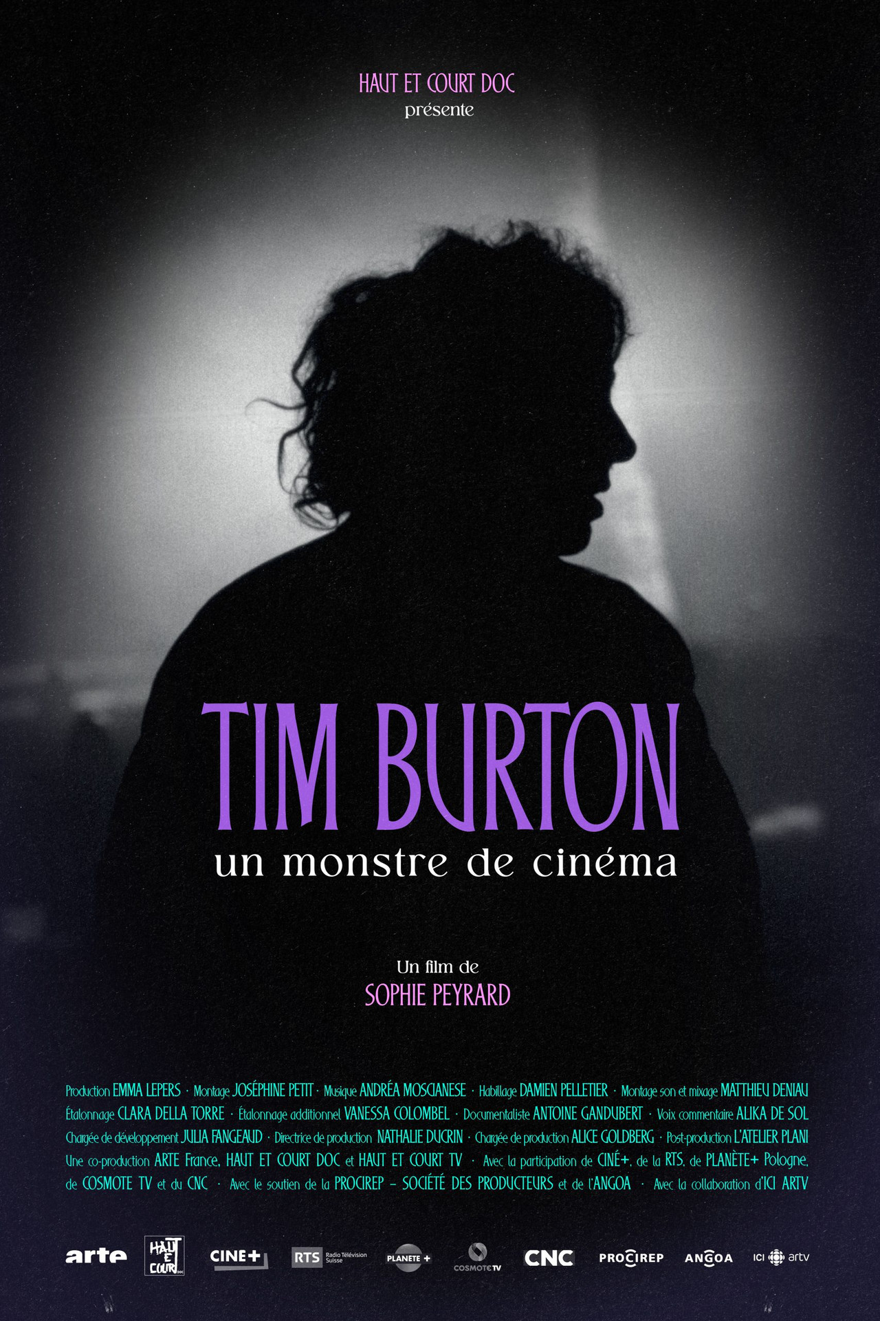 Pôster de Tim Burton : un monstre de cinéma