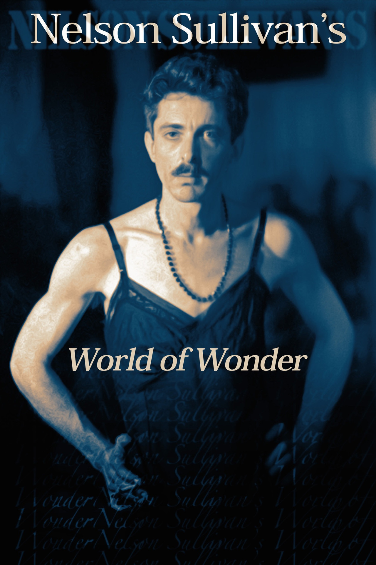 Pôster de Nelson Sullivan's World Of Wonder