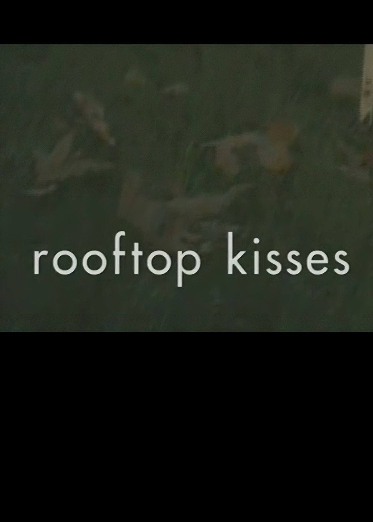Pôster de Rooftop Kisses