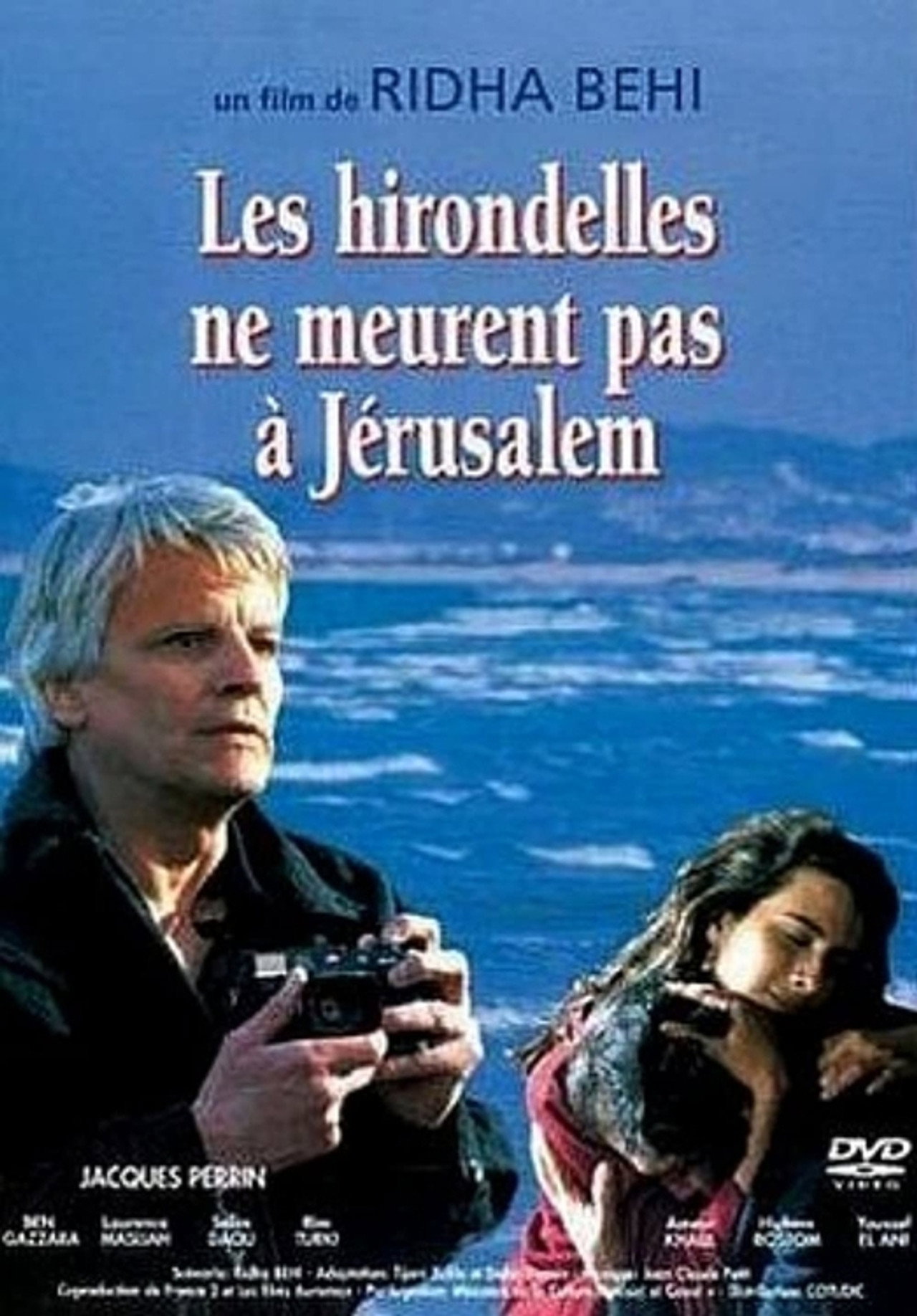 Pôster de Les hirondelles ne meurent pas à Jerusalem