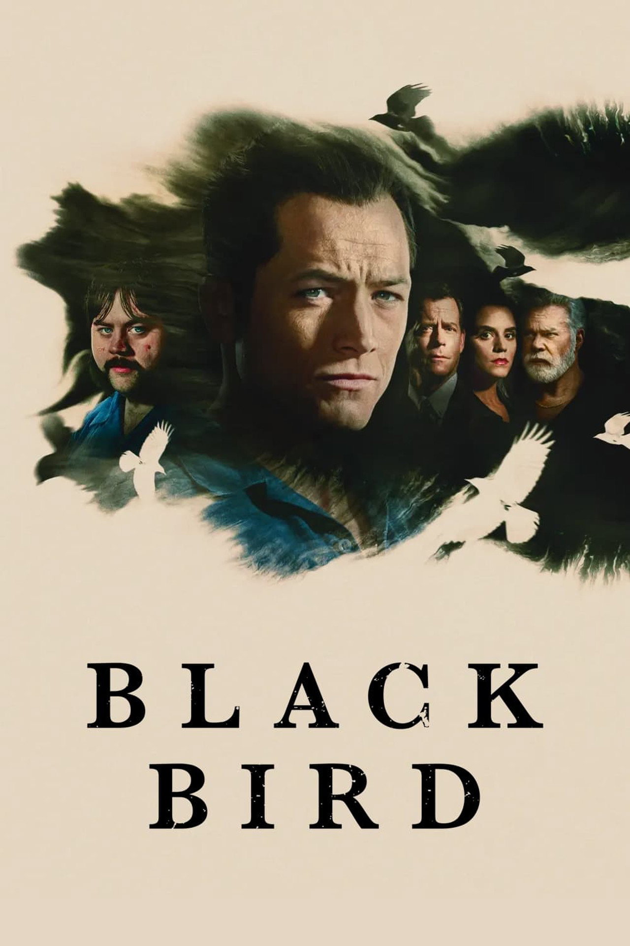 Pôster de Black Bird