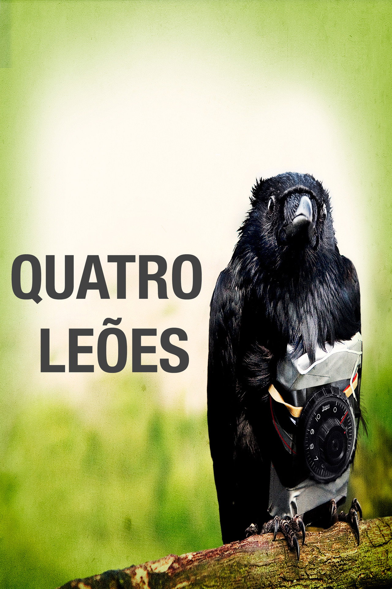 Pôster de Quatro Leões
