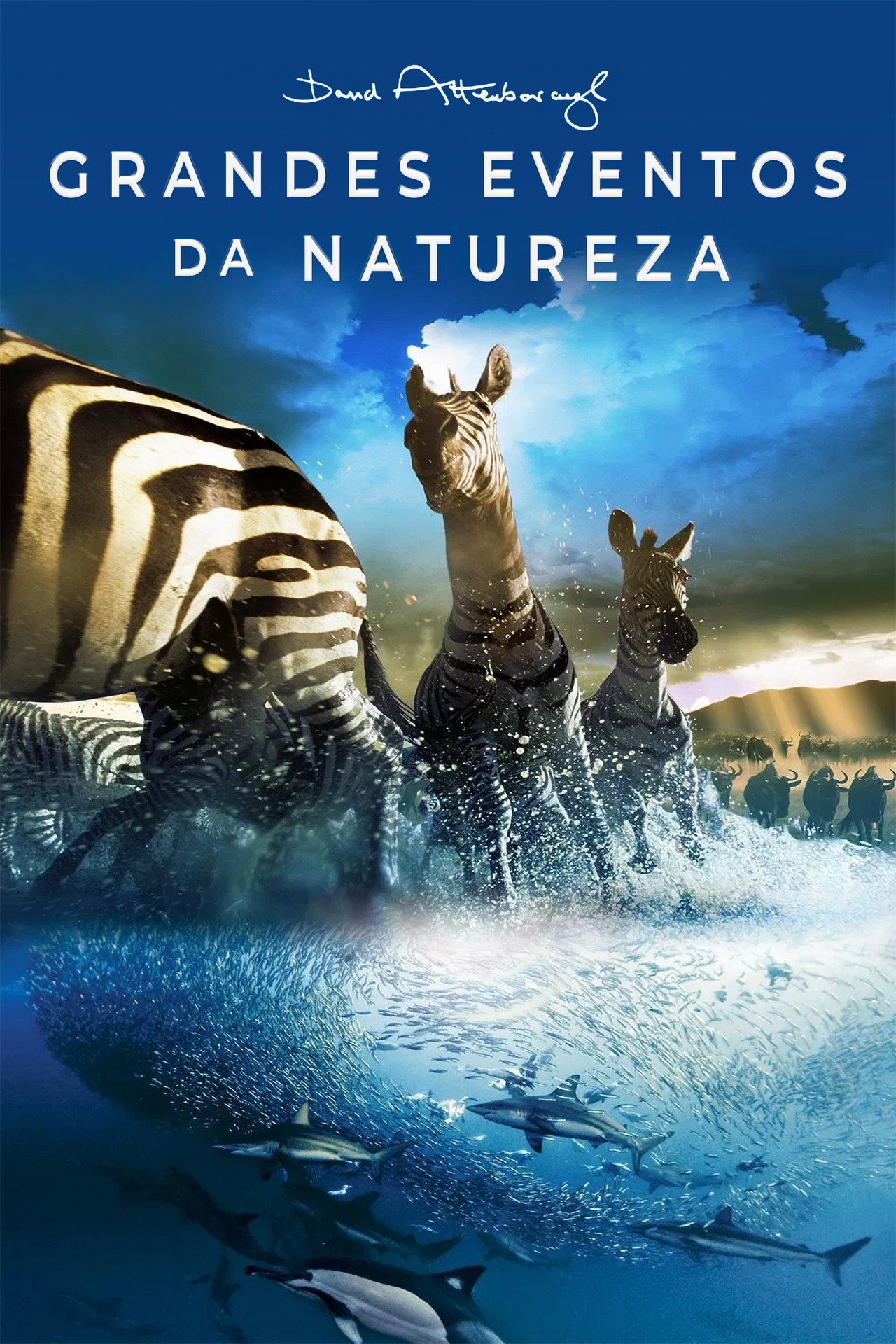 Pôster de Grandes Eventos da Natureza
