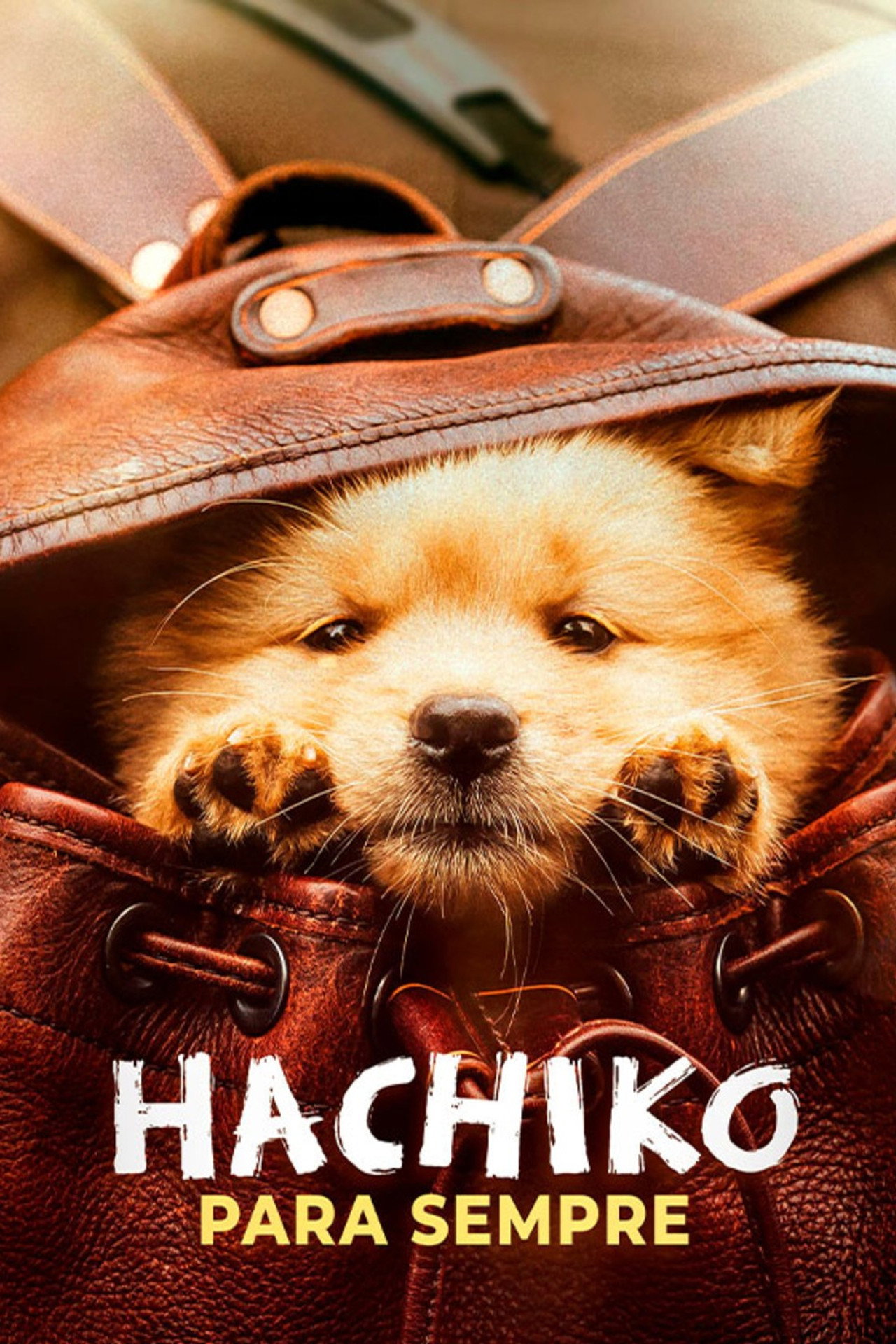 Pôster de Hachiko Para Sempre