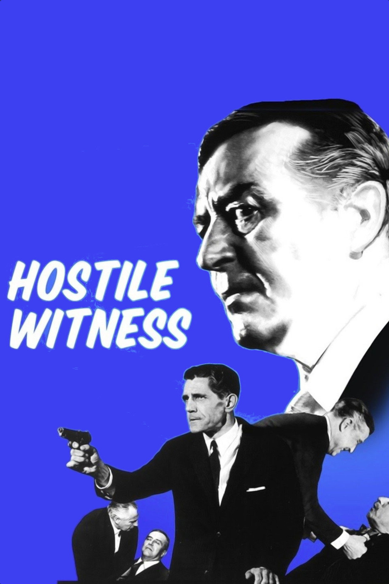 Pôster de Hostile Witness