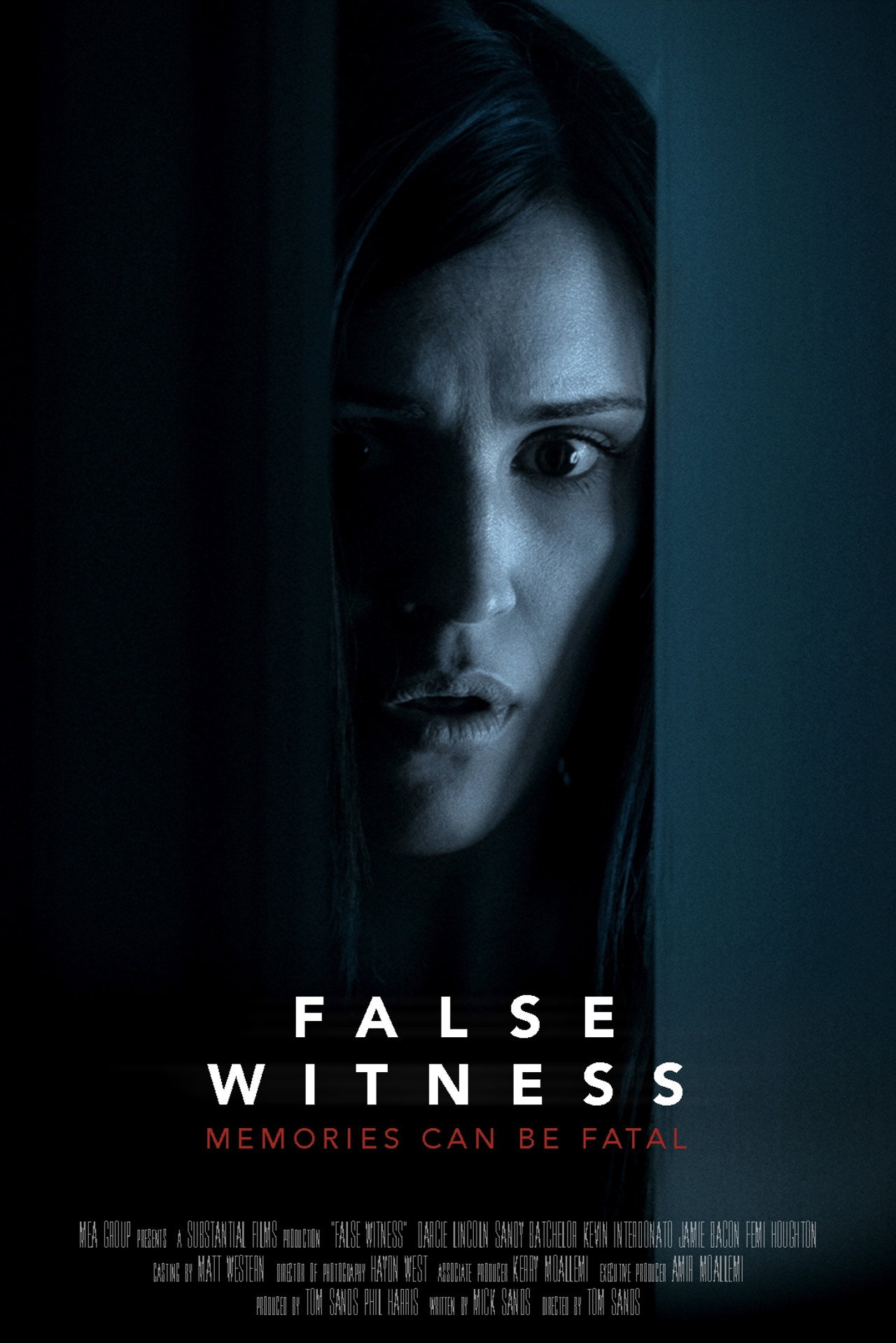 Pôster de False Witness