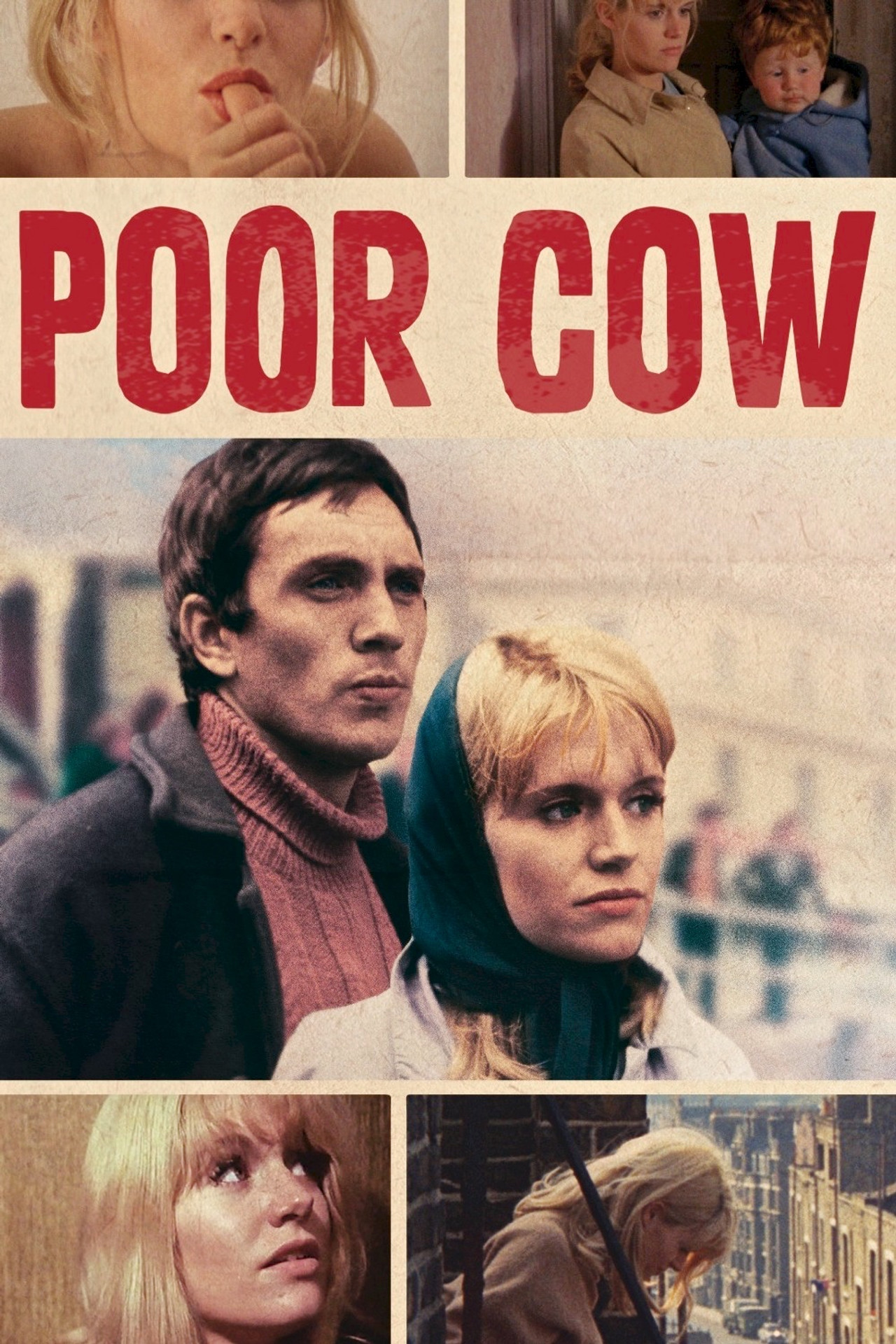 Pôster de Poor Cow